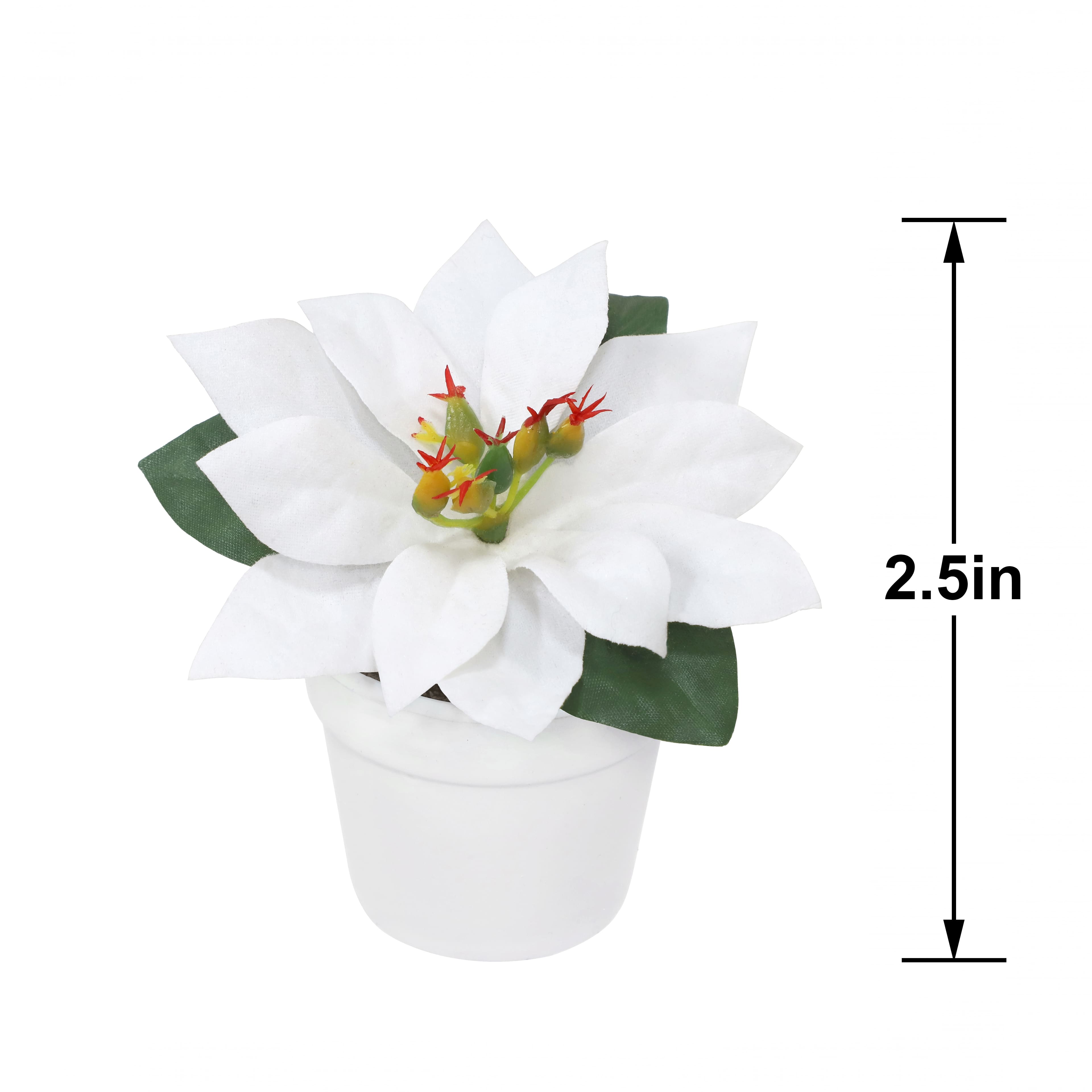 2.5&#x22; Premade White Velvet Poinsettia in White Terracotta Pot by Ashland&#xAE;