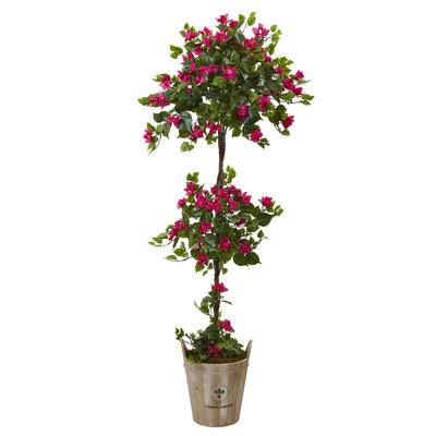 5.5ft. Pink Bougainvillea Topiary Tree with European Barrel Planter ...