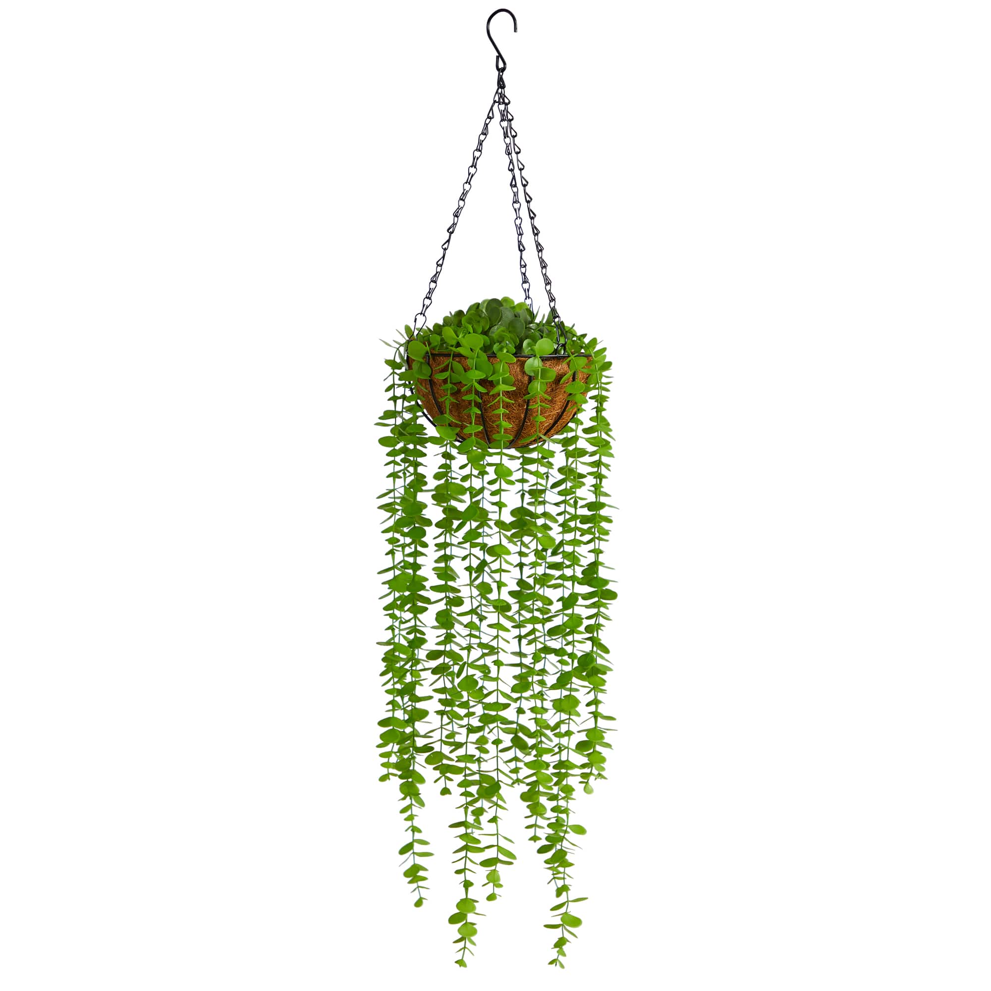 3ft. Eucalyptus Artificial Plant in Hanging Basket