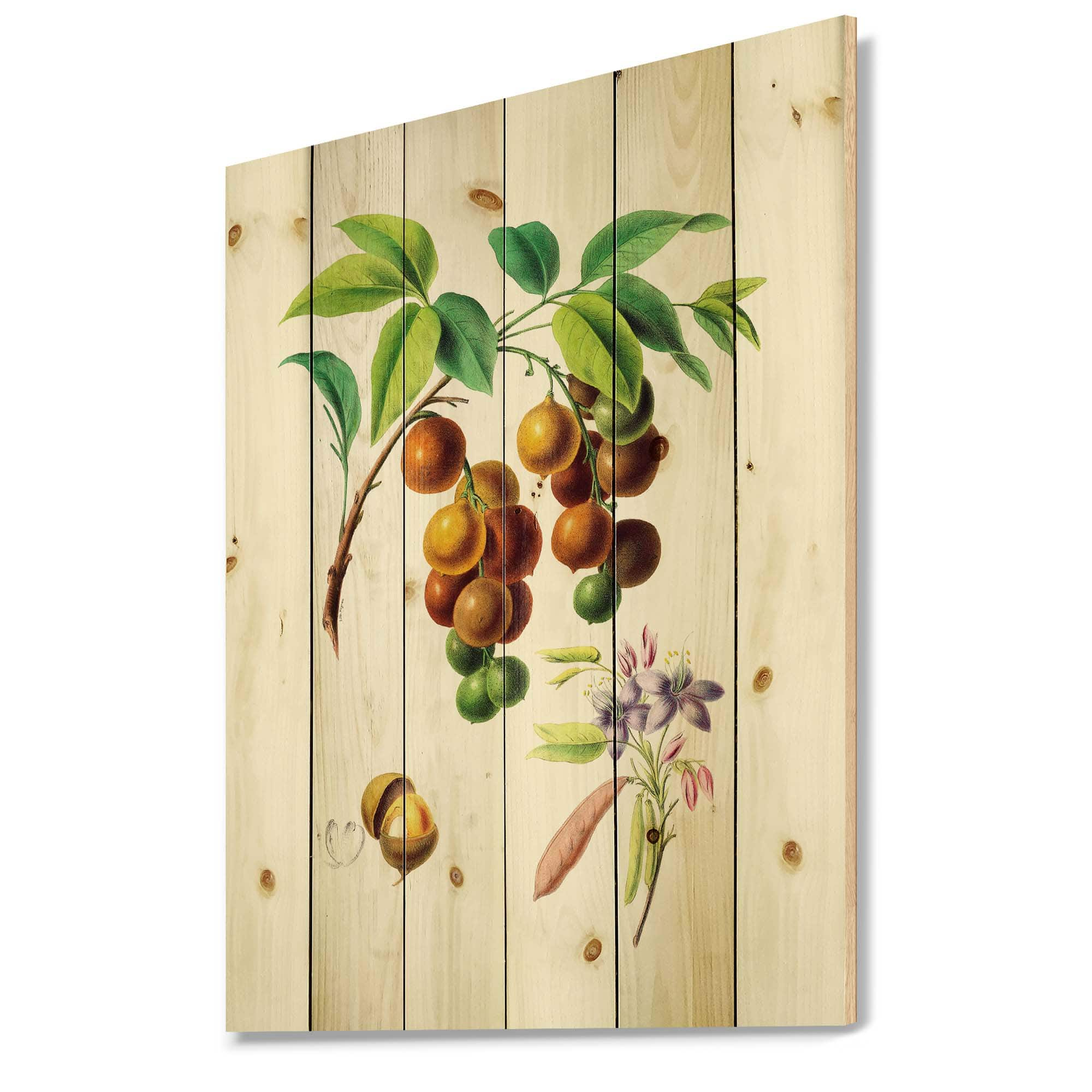 Designart - Vintage Fruits III - Farmhouse Print on Natural Pine Wood