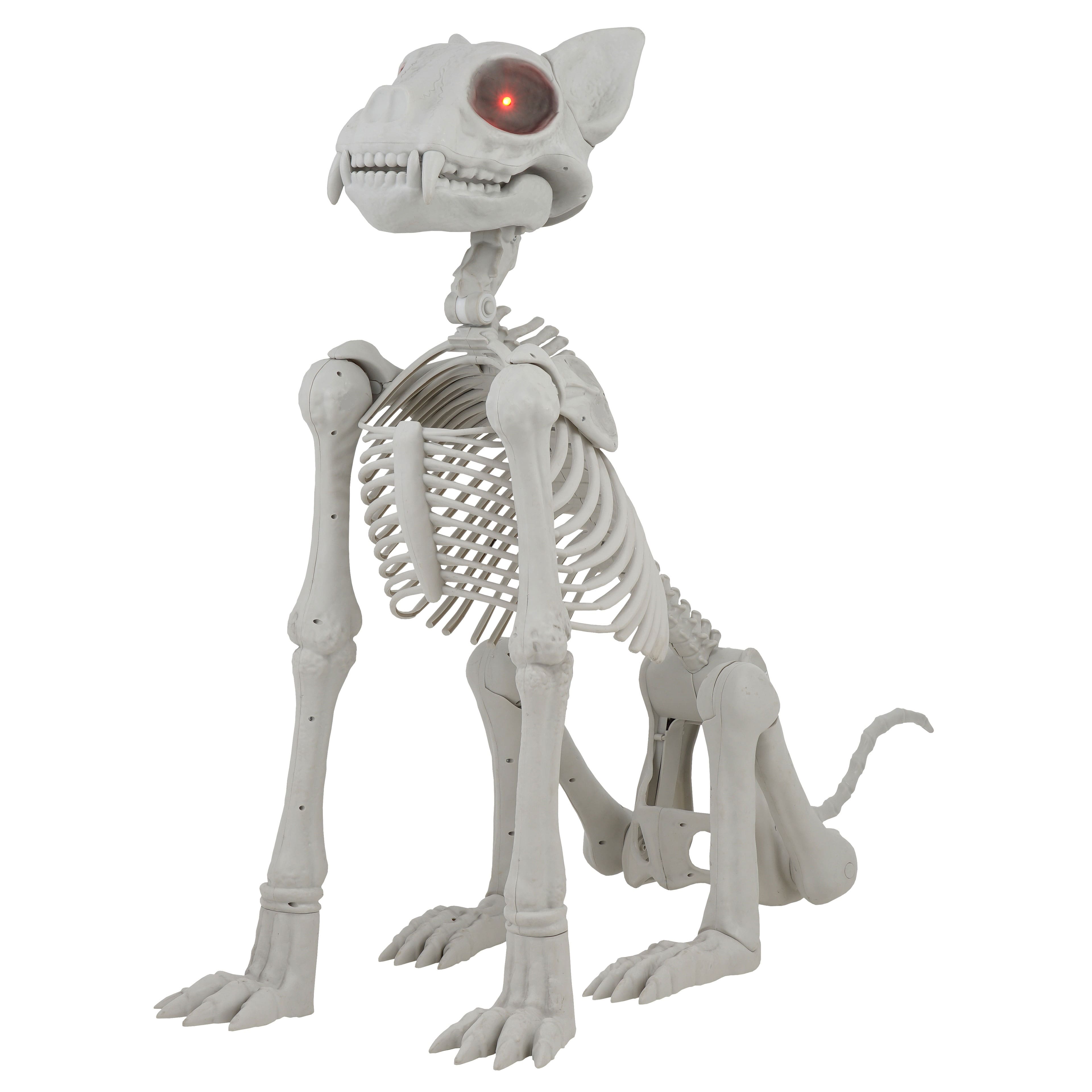 5ft. Oversized Posable Cat Skeleton by Ashland®