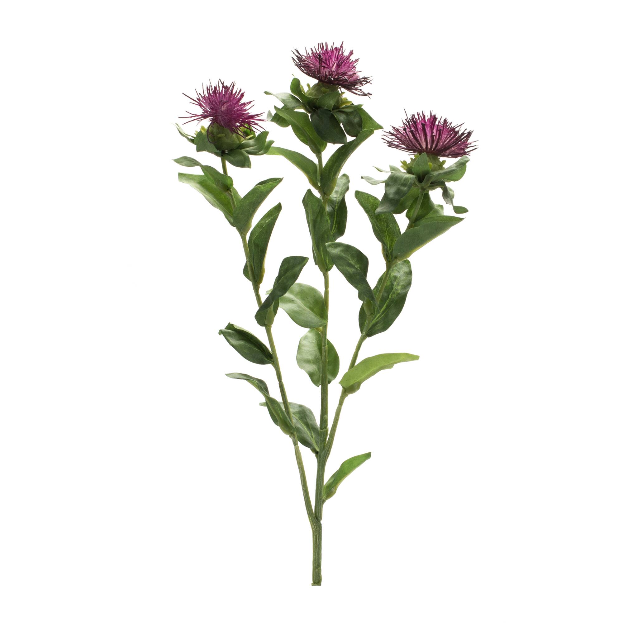 Purple Thistle Spray, 6ct.