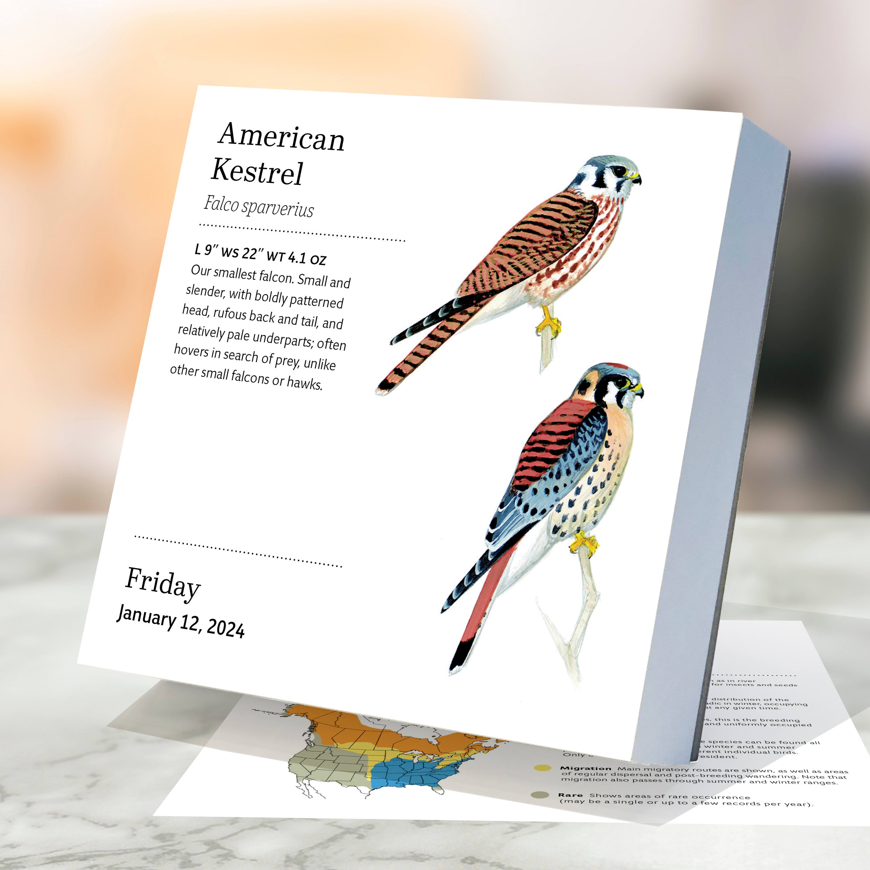 TF Publishing 2024 Birds: Backyard & Beyond Daily Desktop Calendar