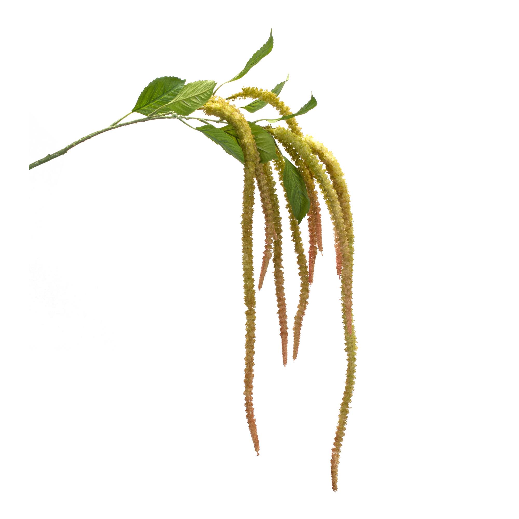 53.25&#x22; Green Amaranthus Floral Stems, 4ct.