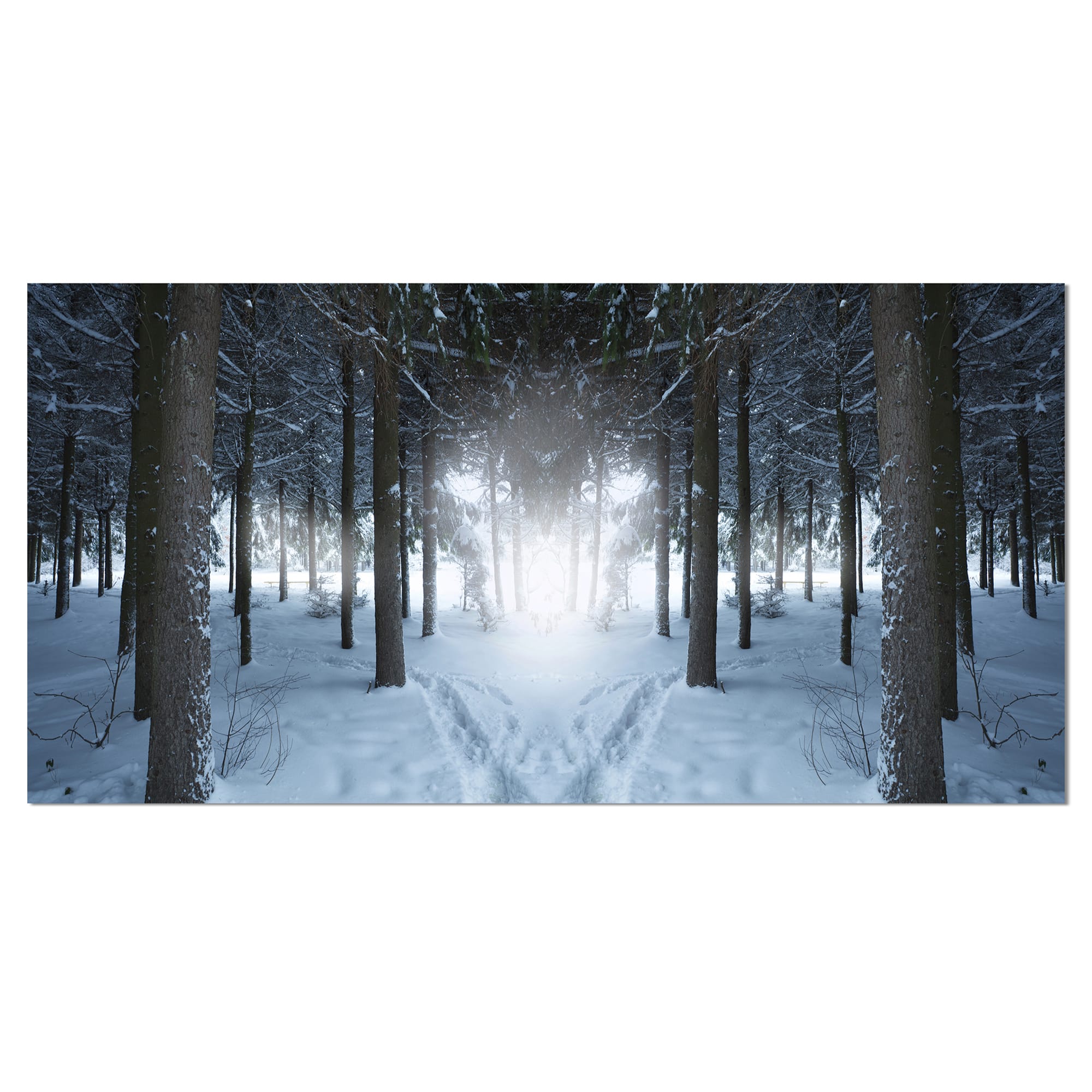Designart - Winter Forest with Dark Woods - Landscape Canvas Art Print