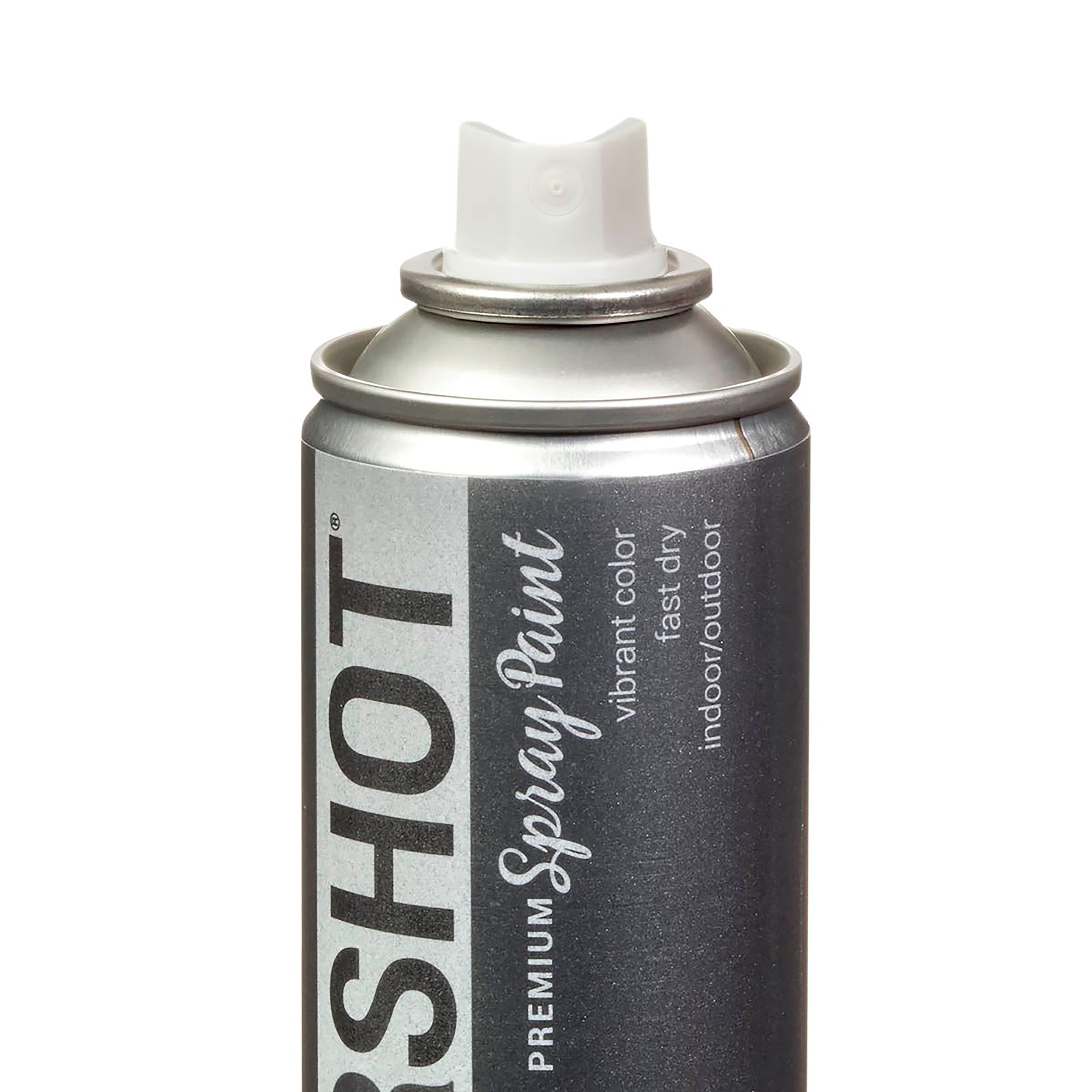 COLORSHOT&#xAE; Premium Metallic Spray Paint