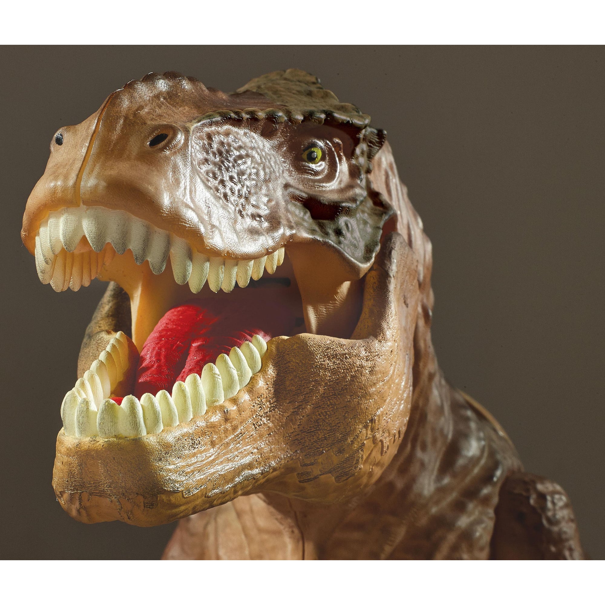 Brainstorm Toys T Rex Projector &#x26; Room Guard With 24 Images