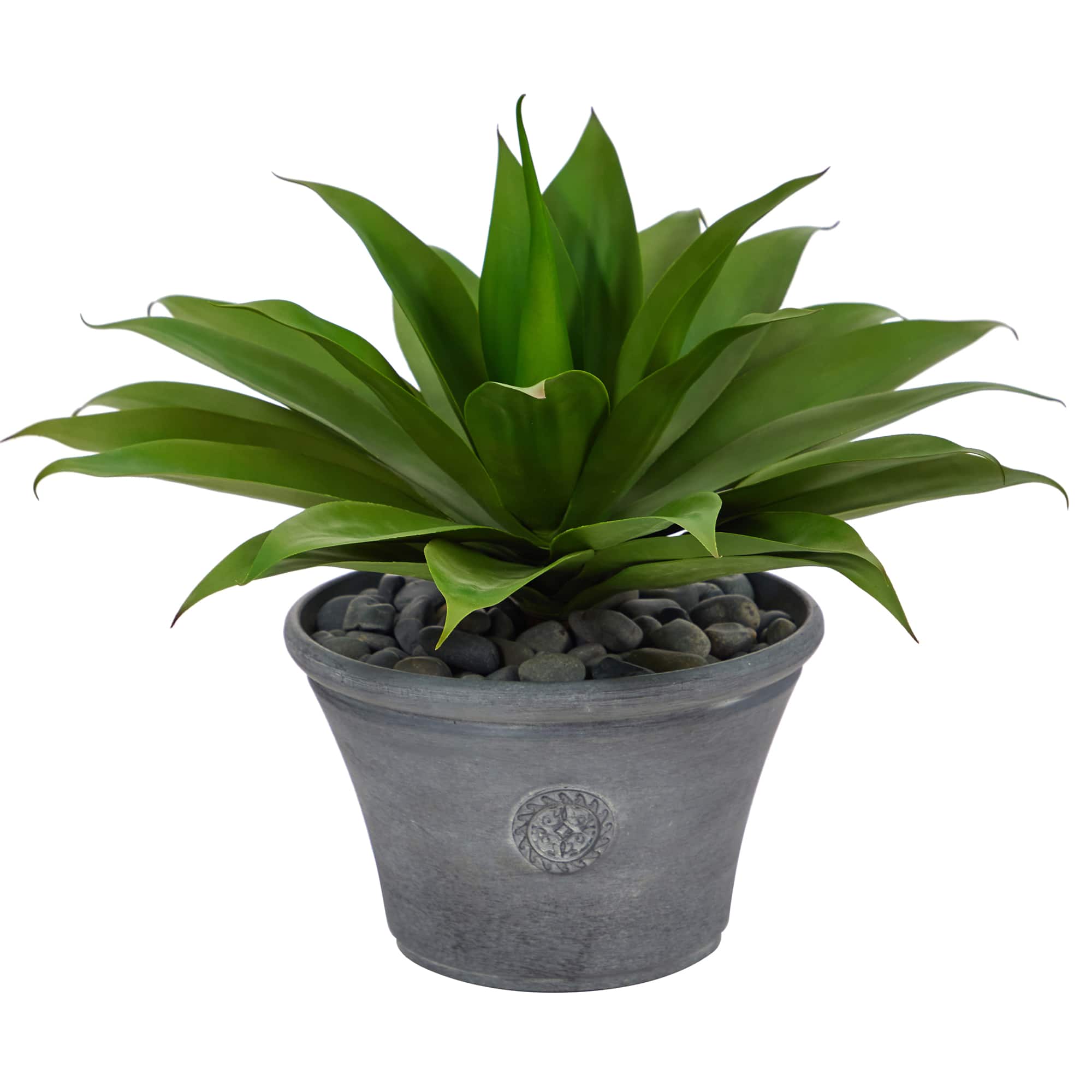 22" Agave Succulent Plant in Gray Planter