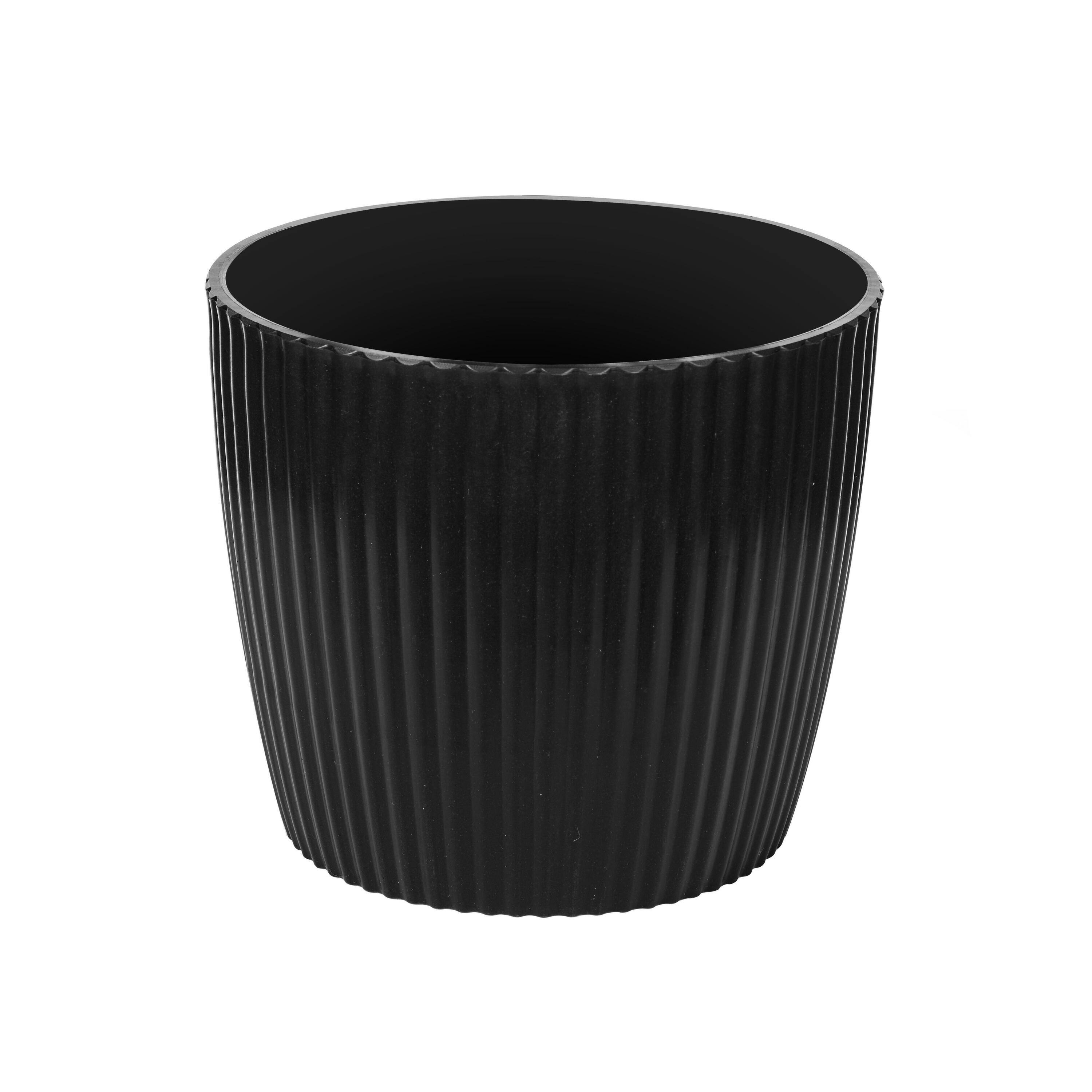 8ft. Potted Olive Tree