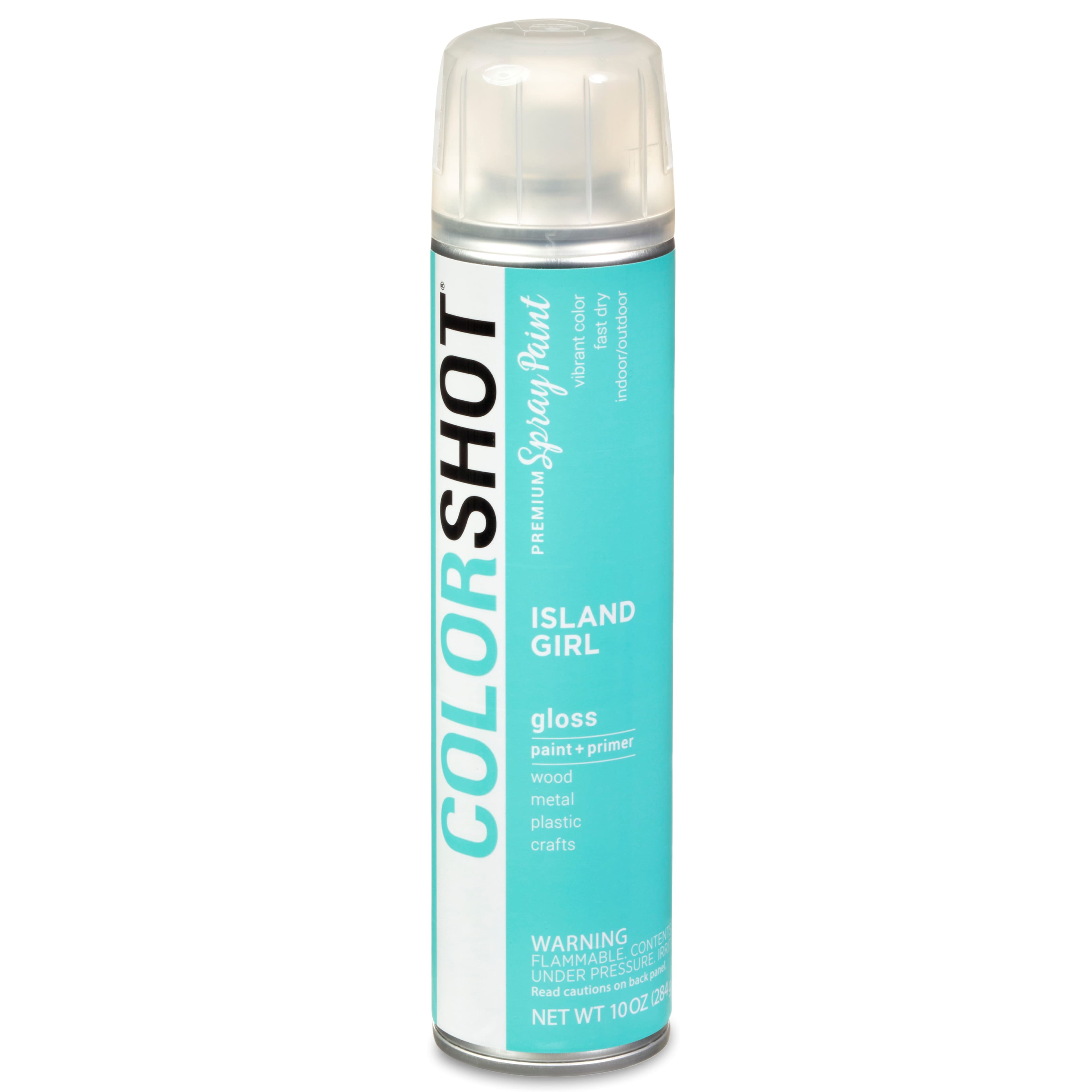 COLORSHOT&#xAE; Premium Gloss Spray Paint