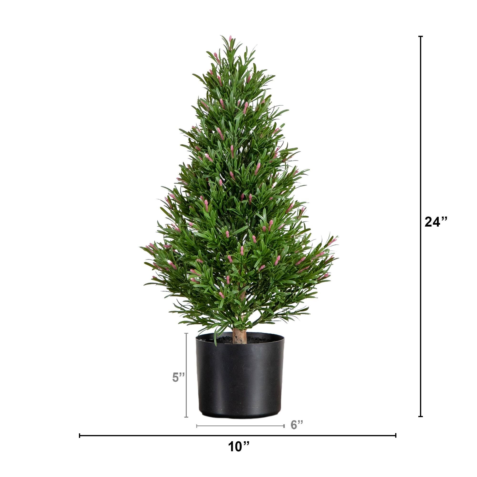 2ft. Potted UV Resistant Rosemary Cone Topiary Tree