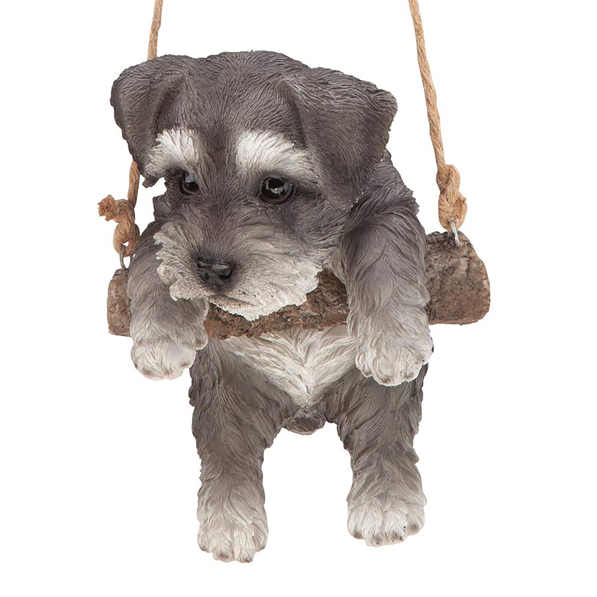 Design Toscano 8" Mini Schnauzer Puppy on a Perch Hanging Dog Sculpture