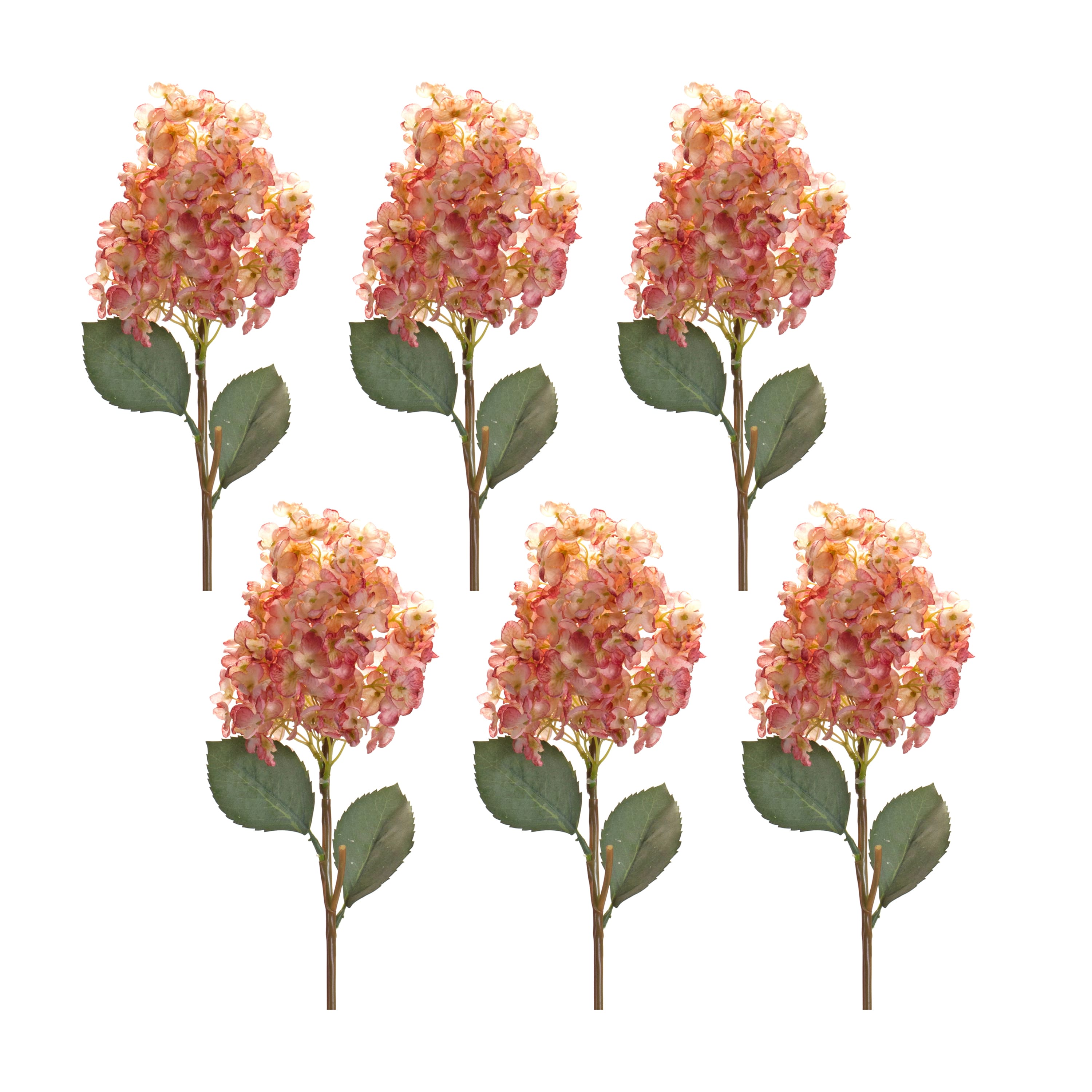 34.5&#x22; Cone Hydrangea Stem, 6ct.