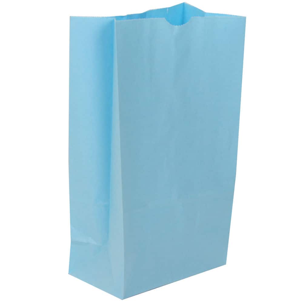 JAM Paper Baby Blue Medium Kraft Lunch Bags, 500ct.