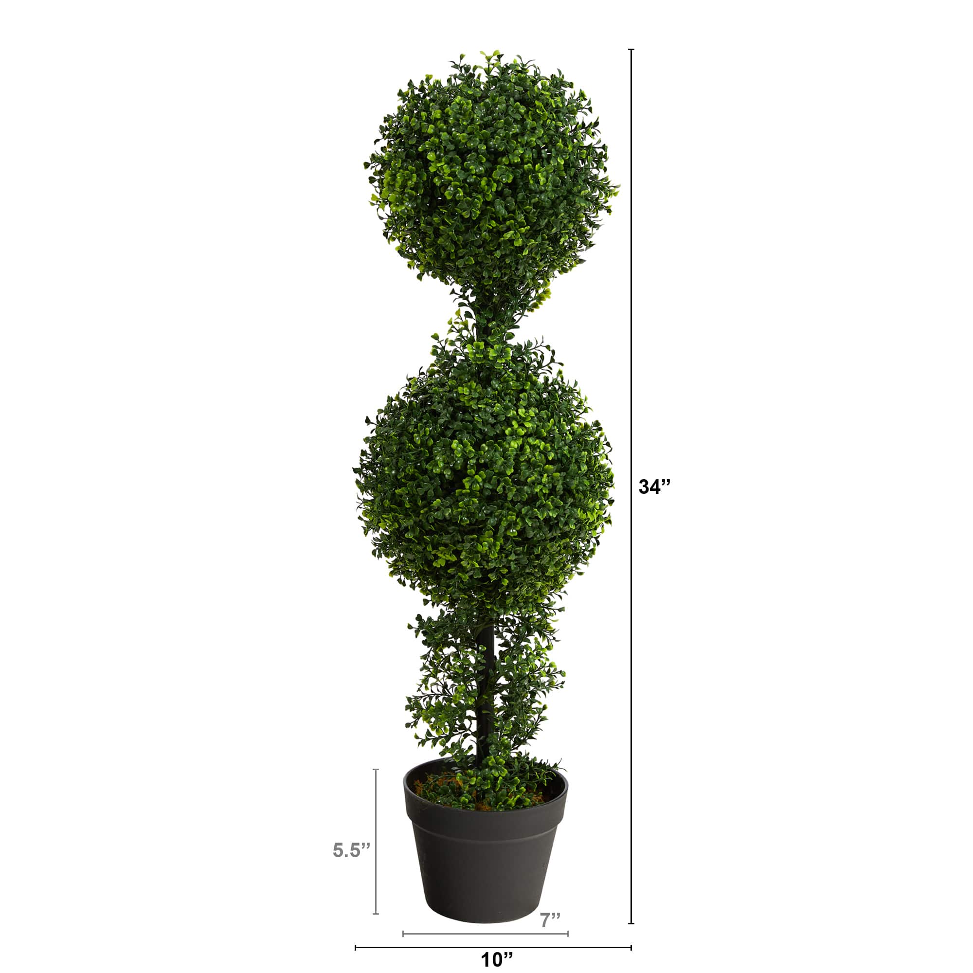 2.8ft. Potted Boxwood Double Ball Topiary Tree