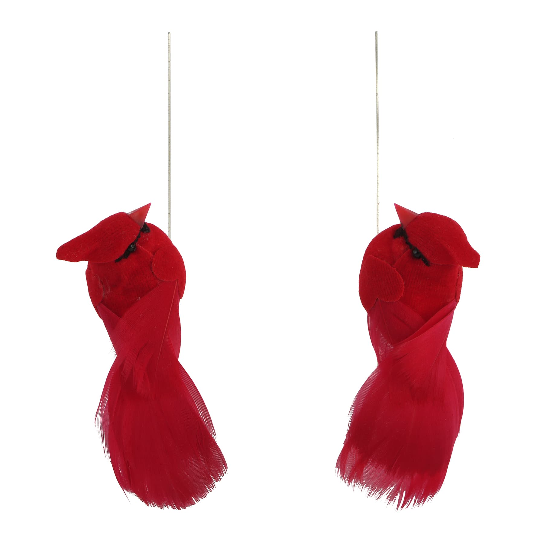 Red Cardinals, 4ct. by Ashland&#xAE;