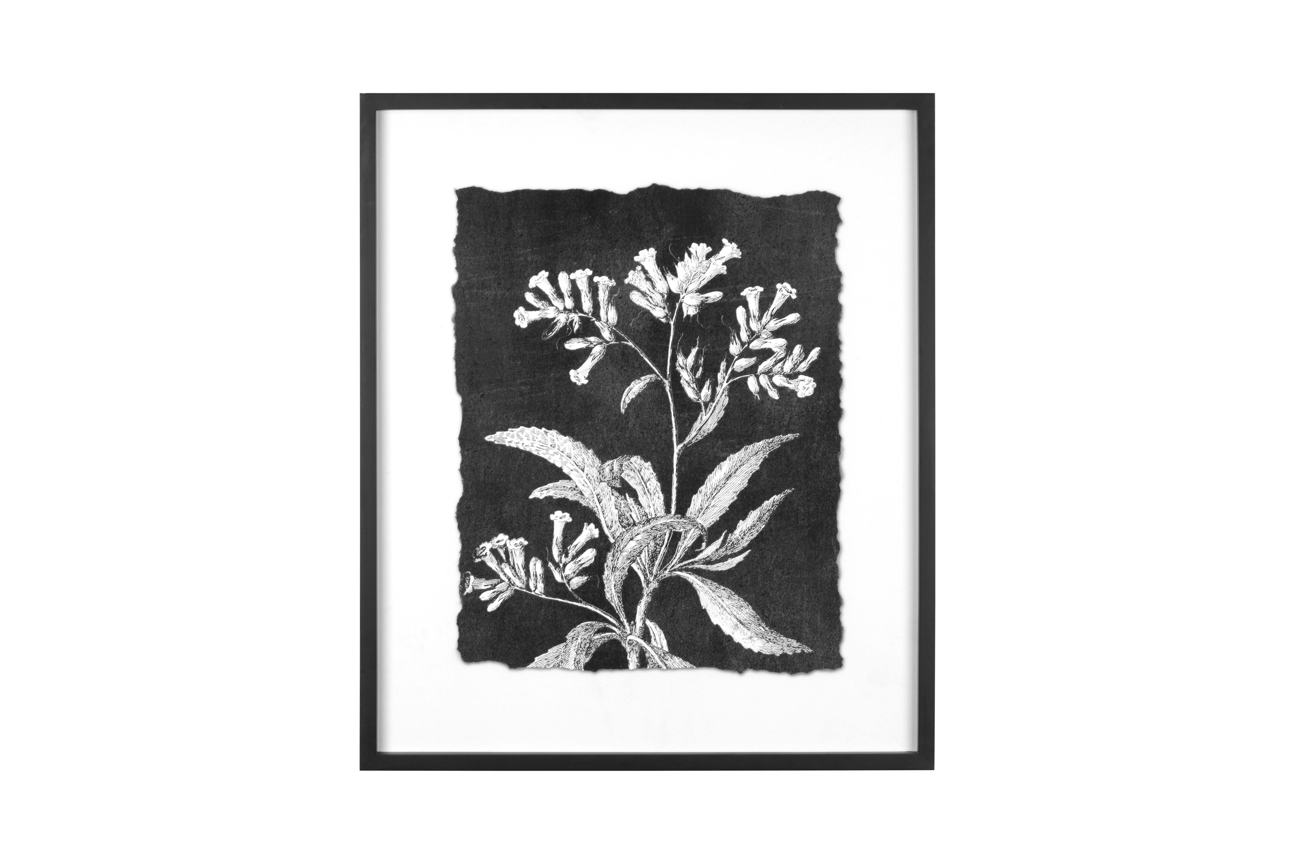 Hello Honey® Black and White Botanical Print Wall Décor with Glass and Wood Frame Set