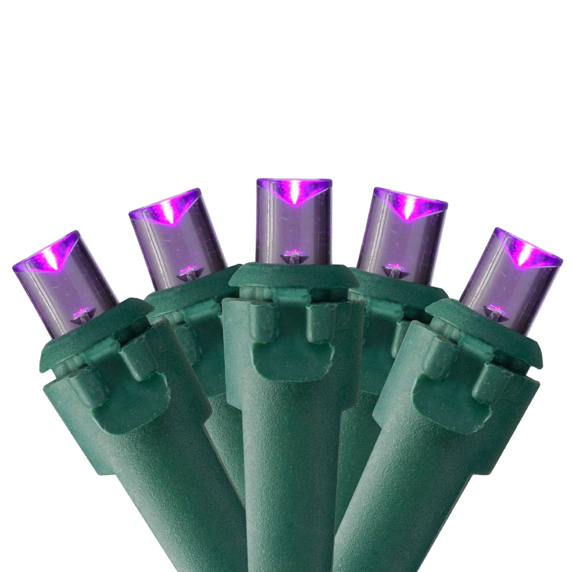 50ct. LED Wide Angle Christmas String Lights with Green Wire
