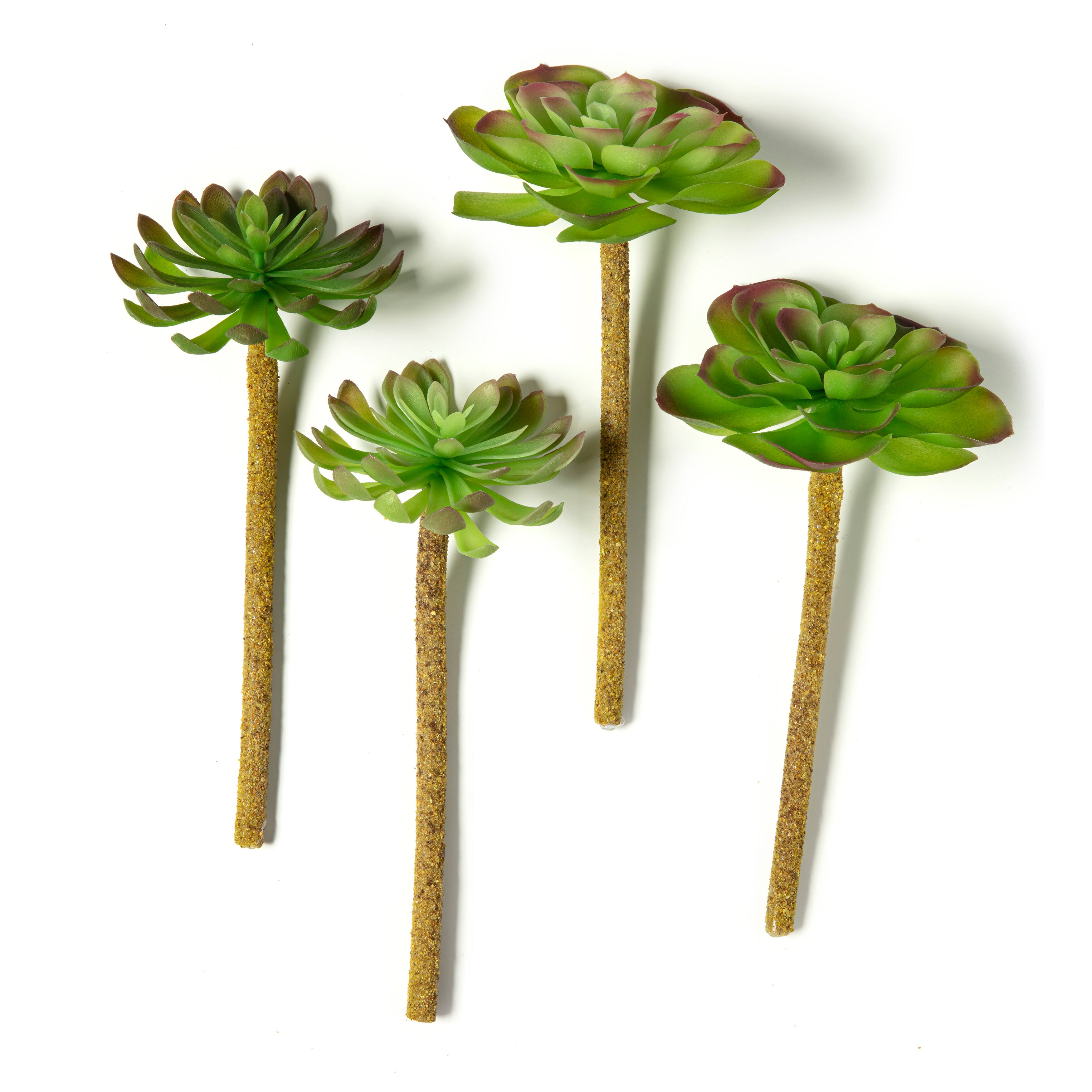 12 Pack: Assorted Red Tipped Succulent Pick by Ashland&#xAE;