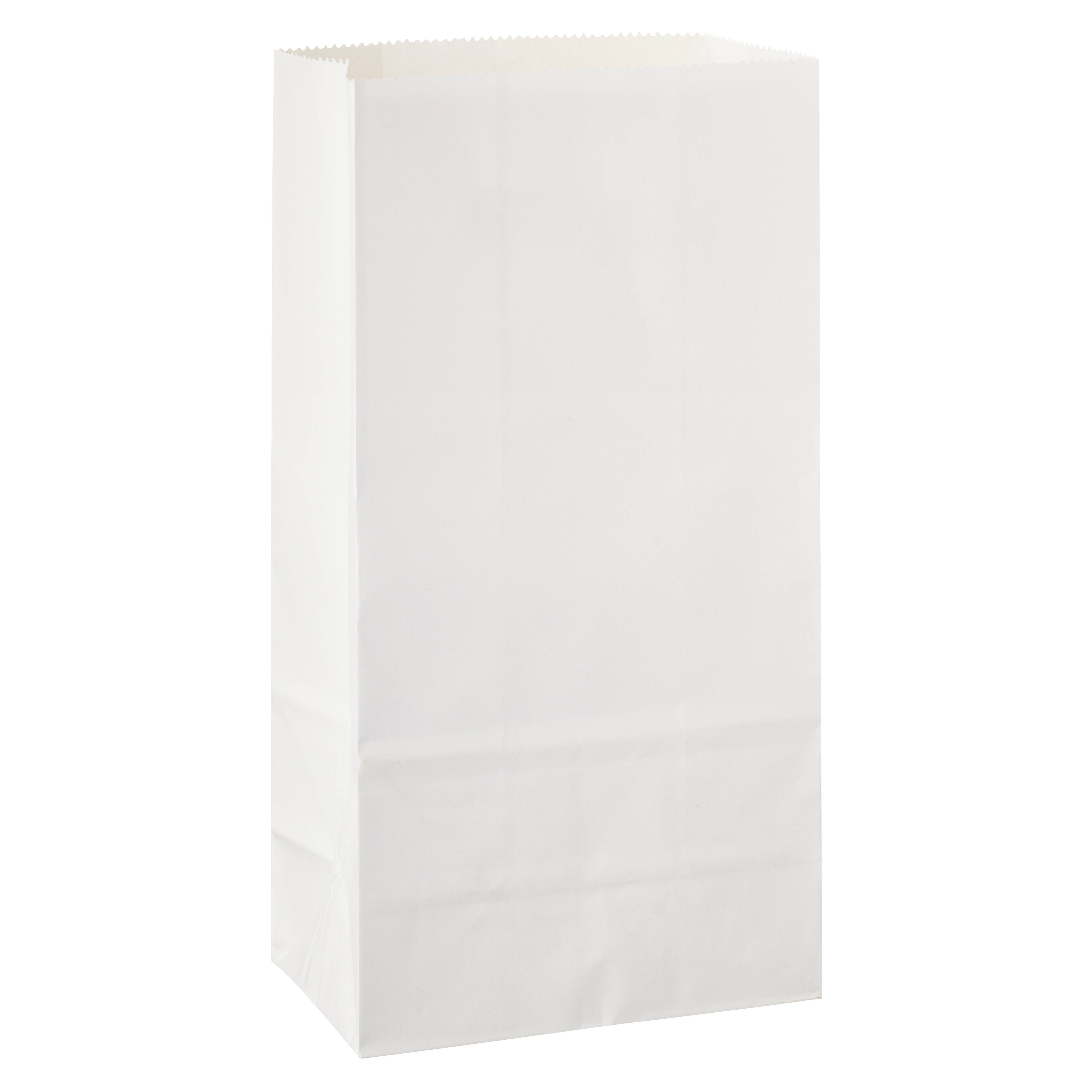 12 Packs: 12 ct. (144 total) Paper Treat Bags by Celebrate It&#x2122;