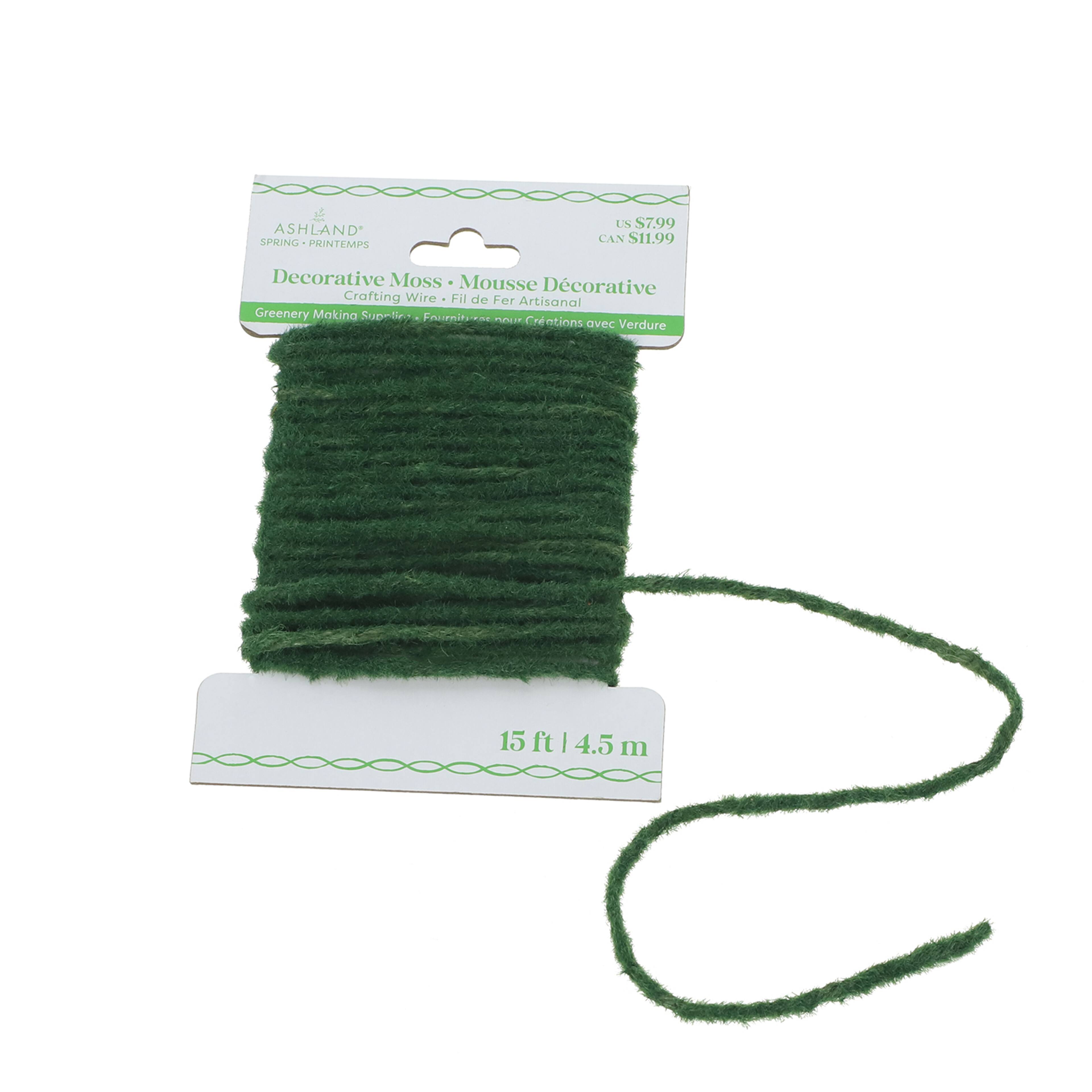 15ft. Decorative Moss Crafting Wire by Ashland&#xAE;