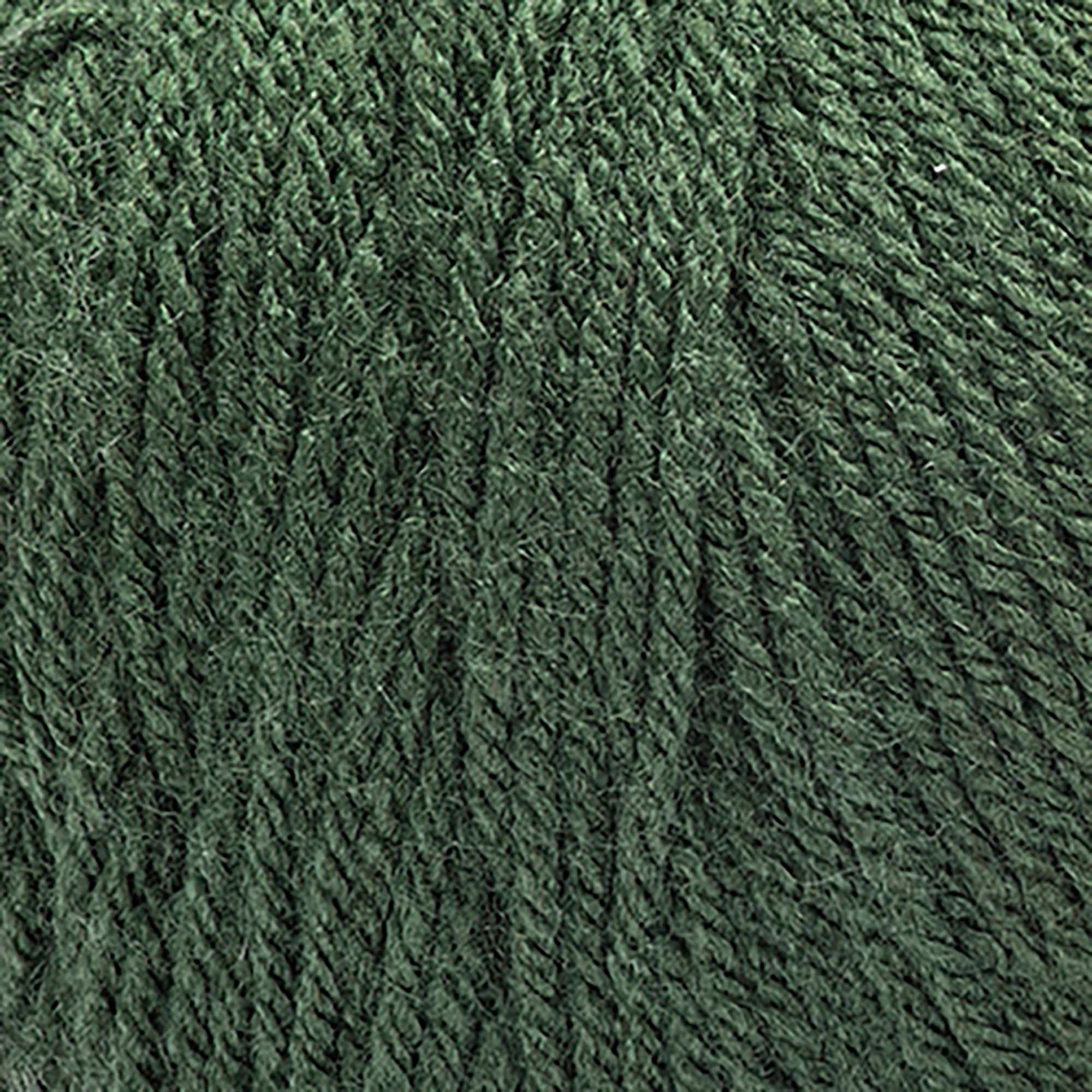 Red Heart&#xAE; Super Saver&#xAE; Solid Yarn
