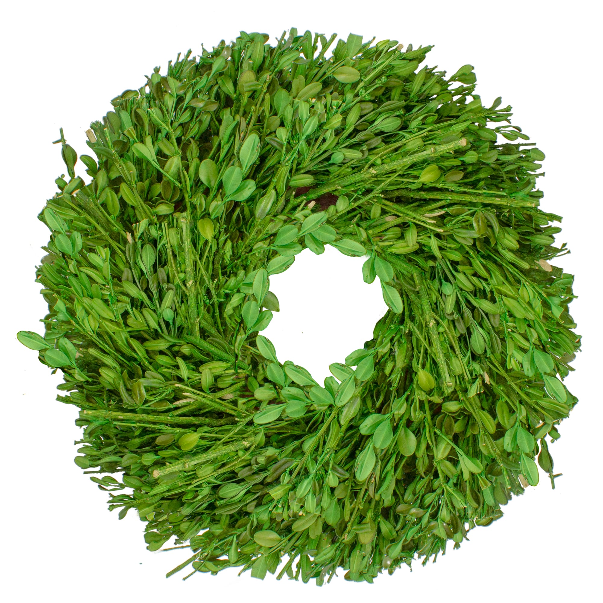 10&#x22; Green Foliage Artificial Spring Wreath