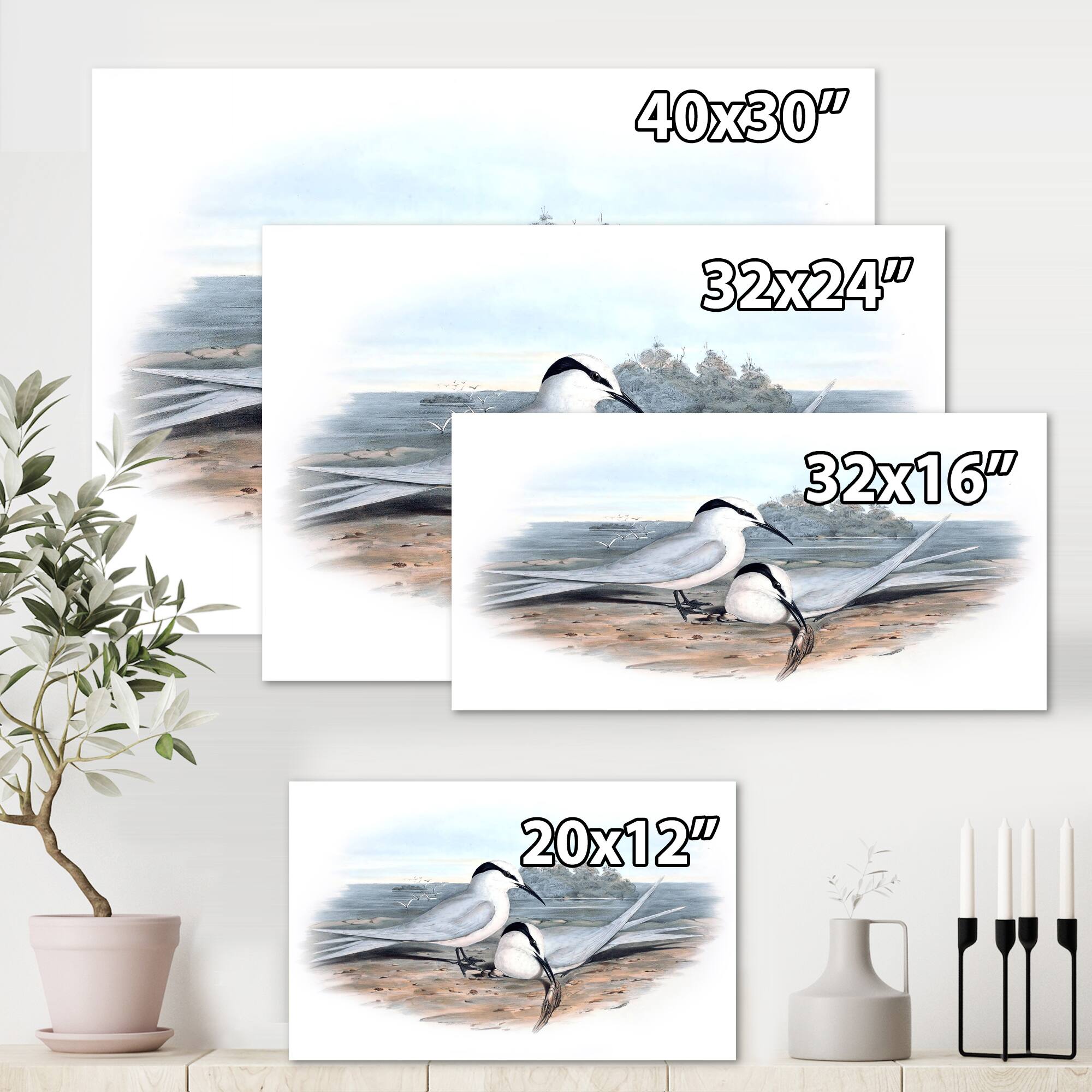 Designart - Vintage Birds In The Wild IX - Traditional Canvas Wall Art Print