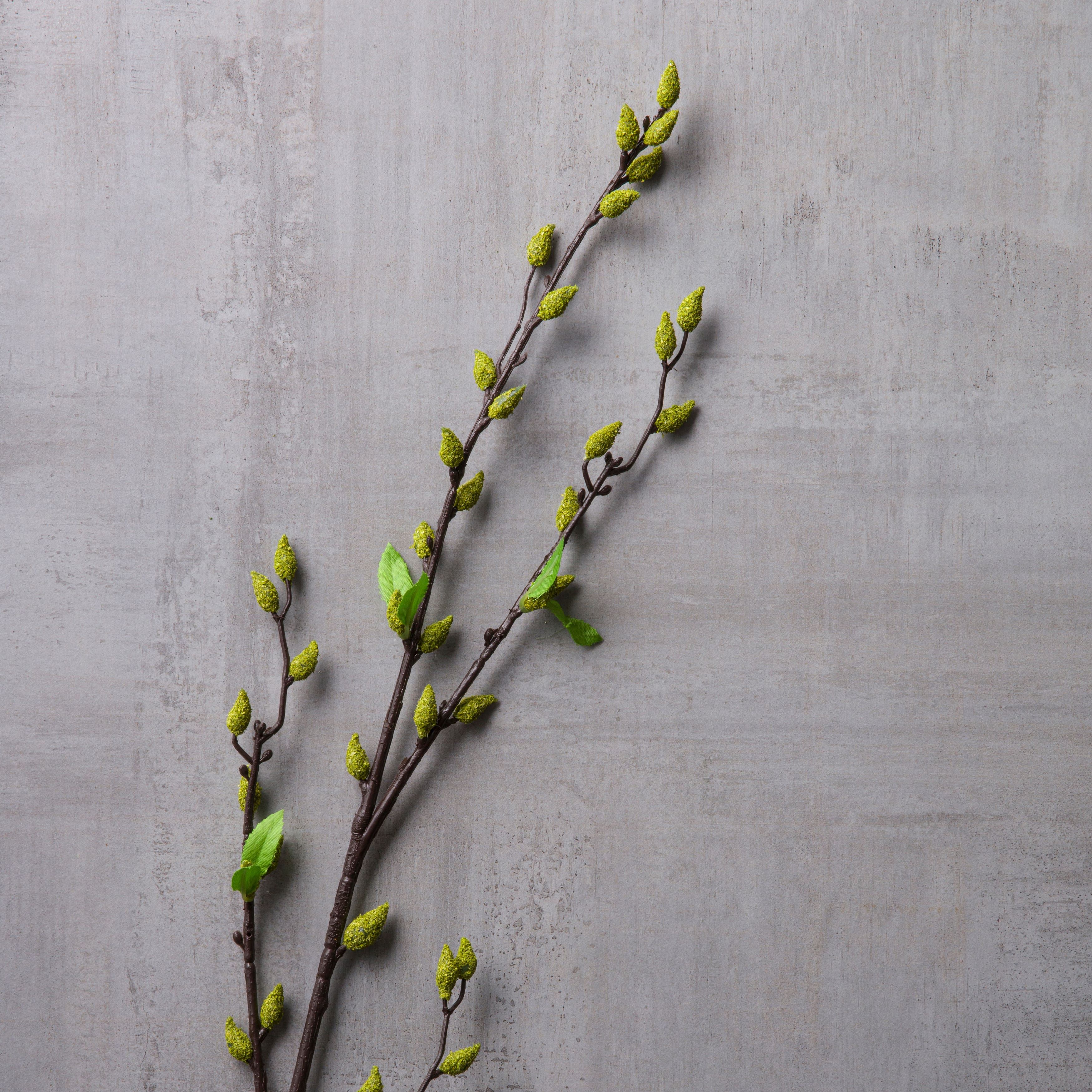Green Willow Stem by Ashland®