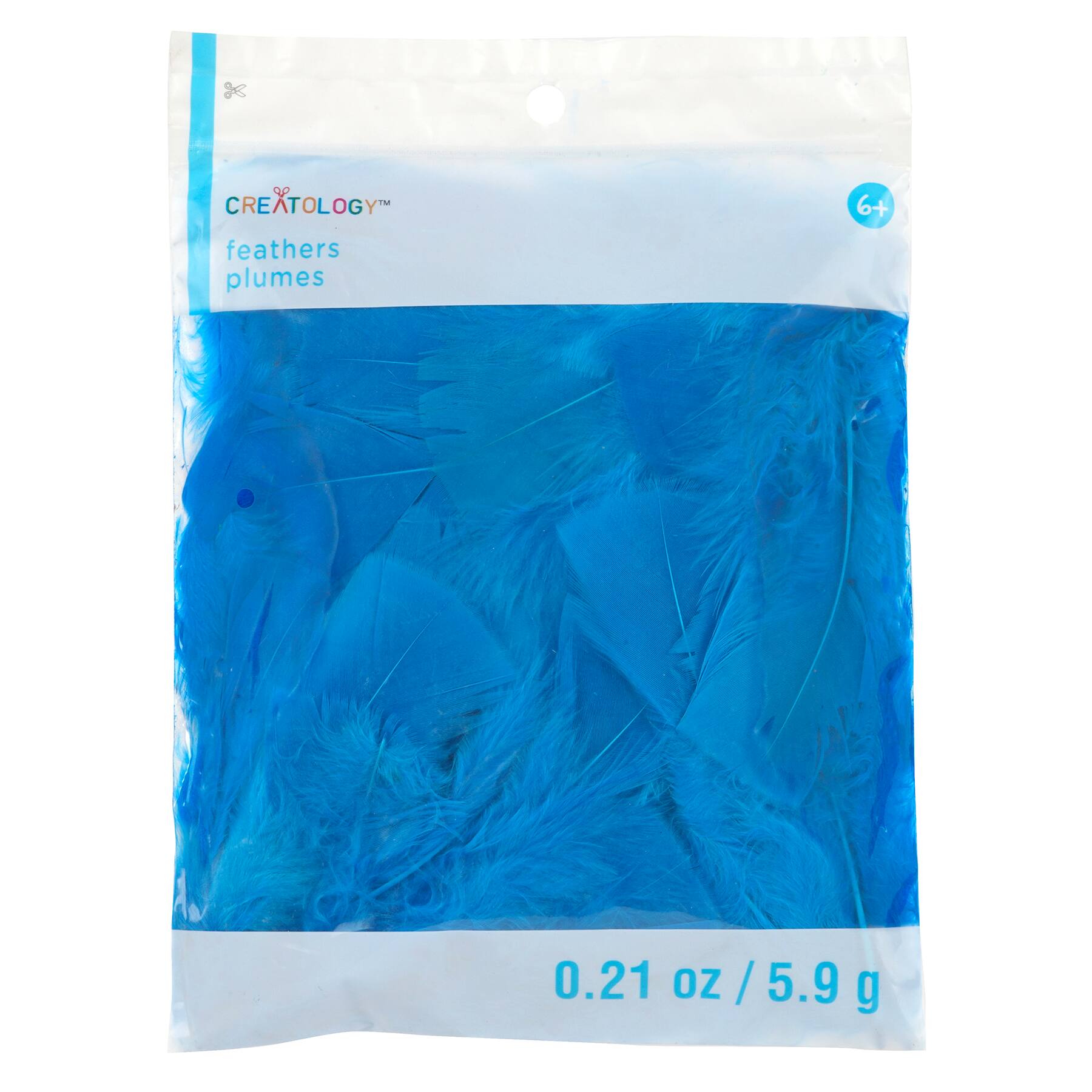 Turkey Feathers by Creatology™