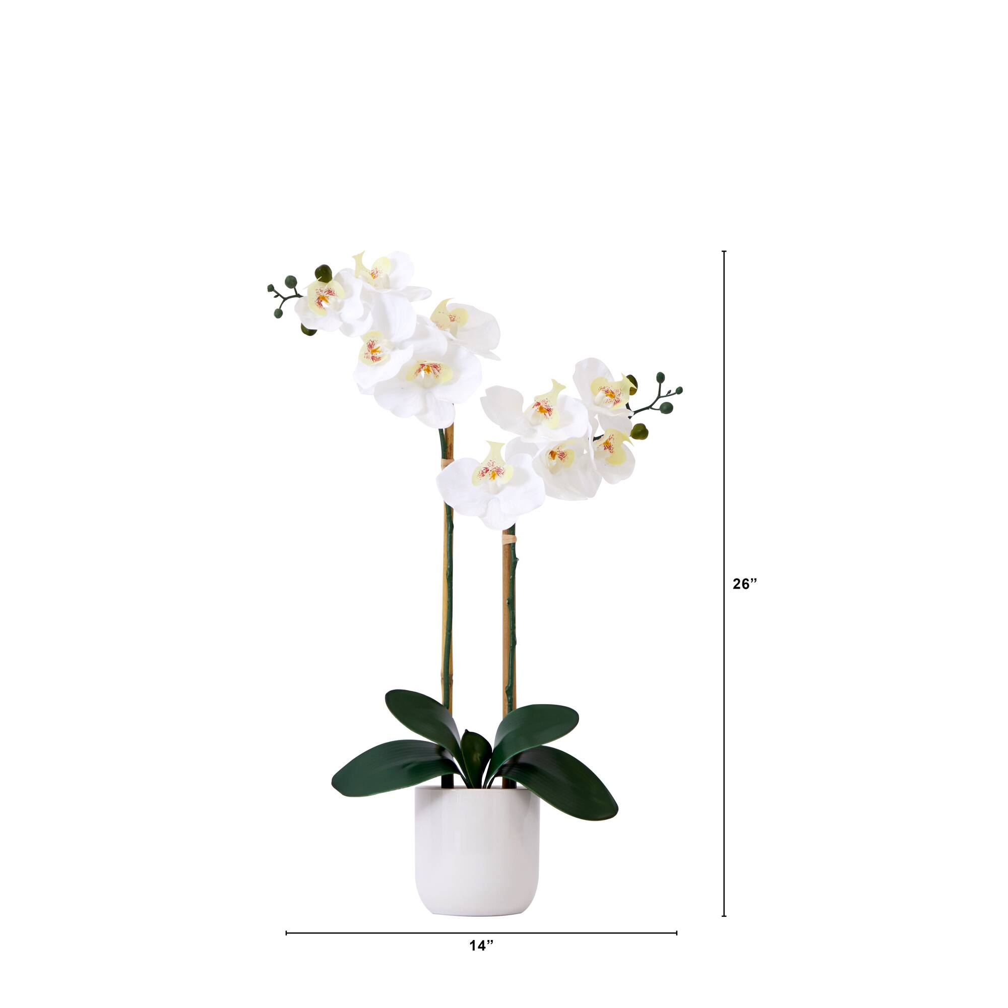 26" Artificial Real Touch White Double Orchid Phalaenopsis with Decorative Vase