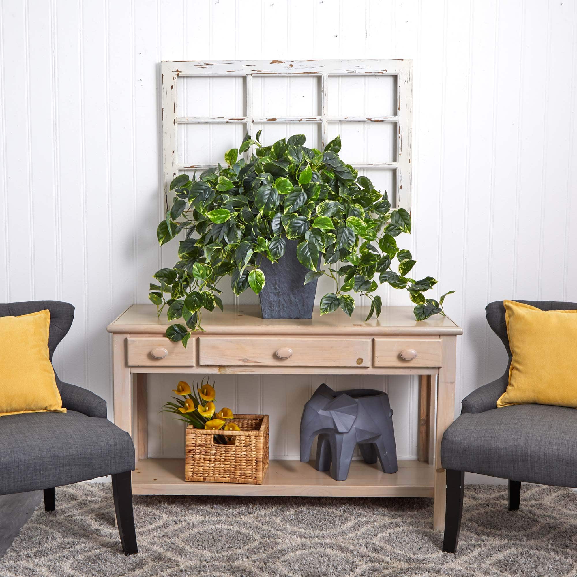 2.5ft. Hanging Pothos with Slate Planter