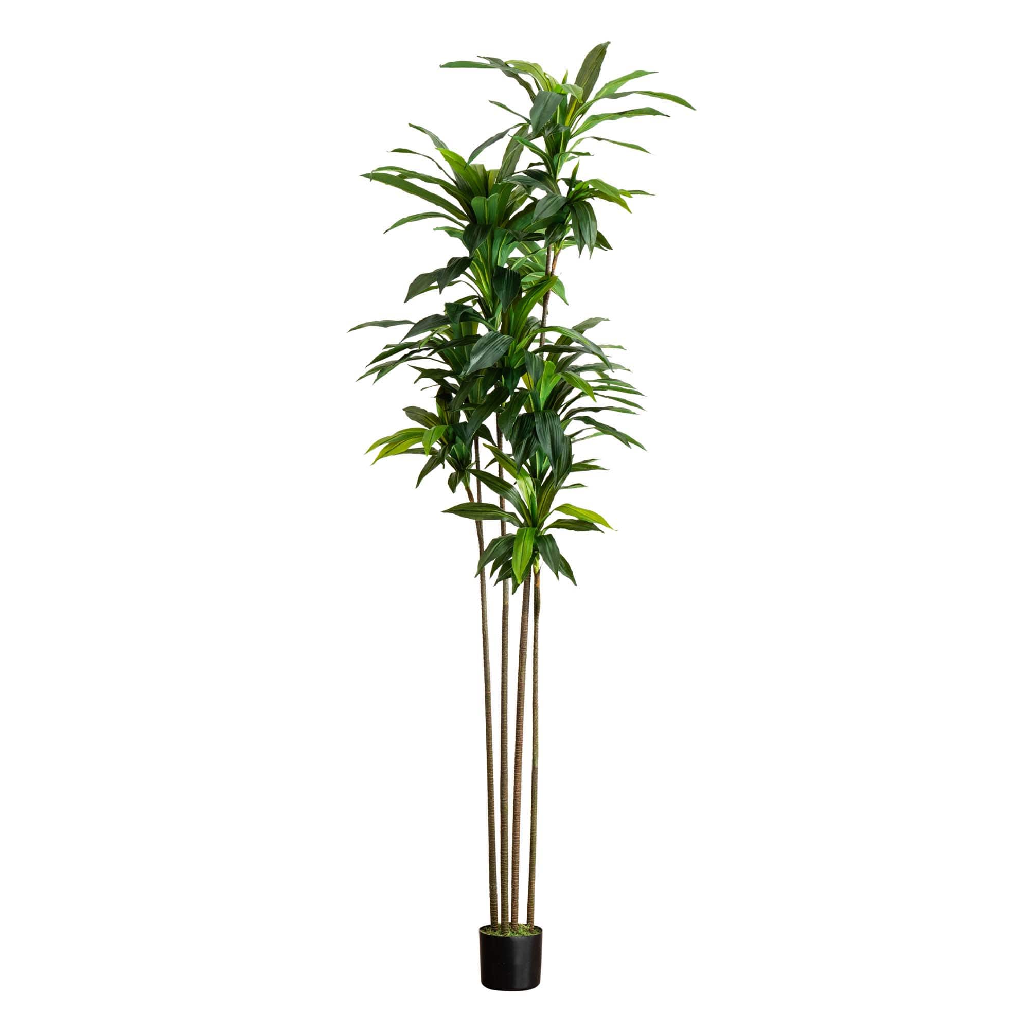 8ft. Potted Green Artificial Dracaena Tree with Real Touch Leaves