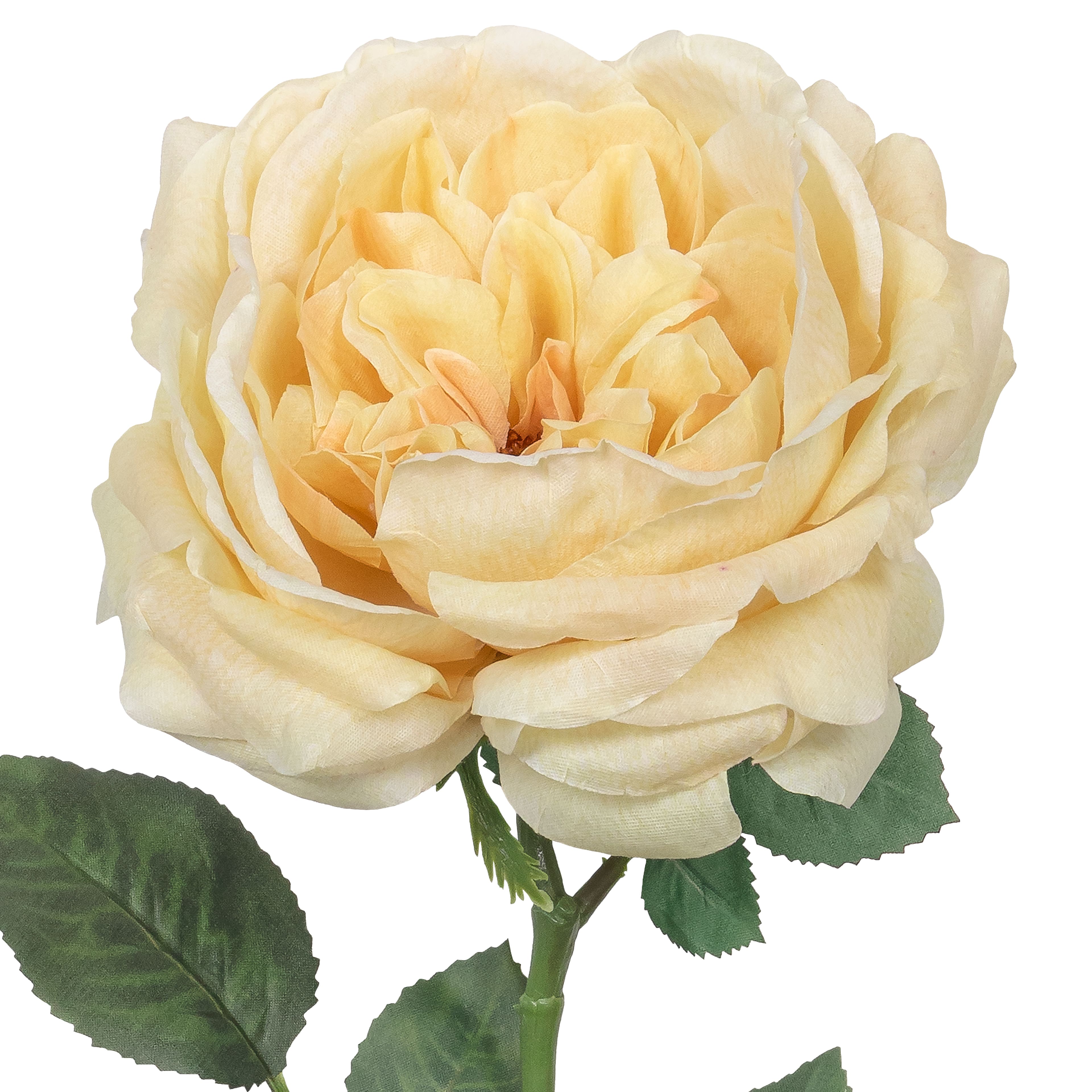 25.5" Yellow Rose Stem by Ashland®
