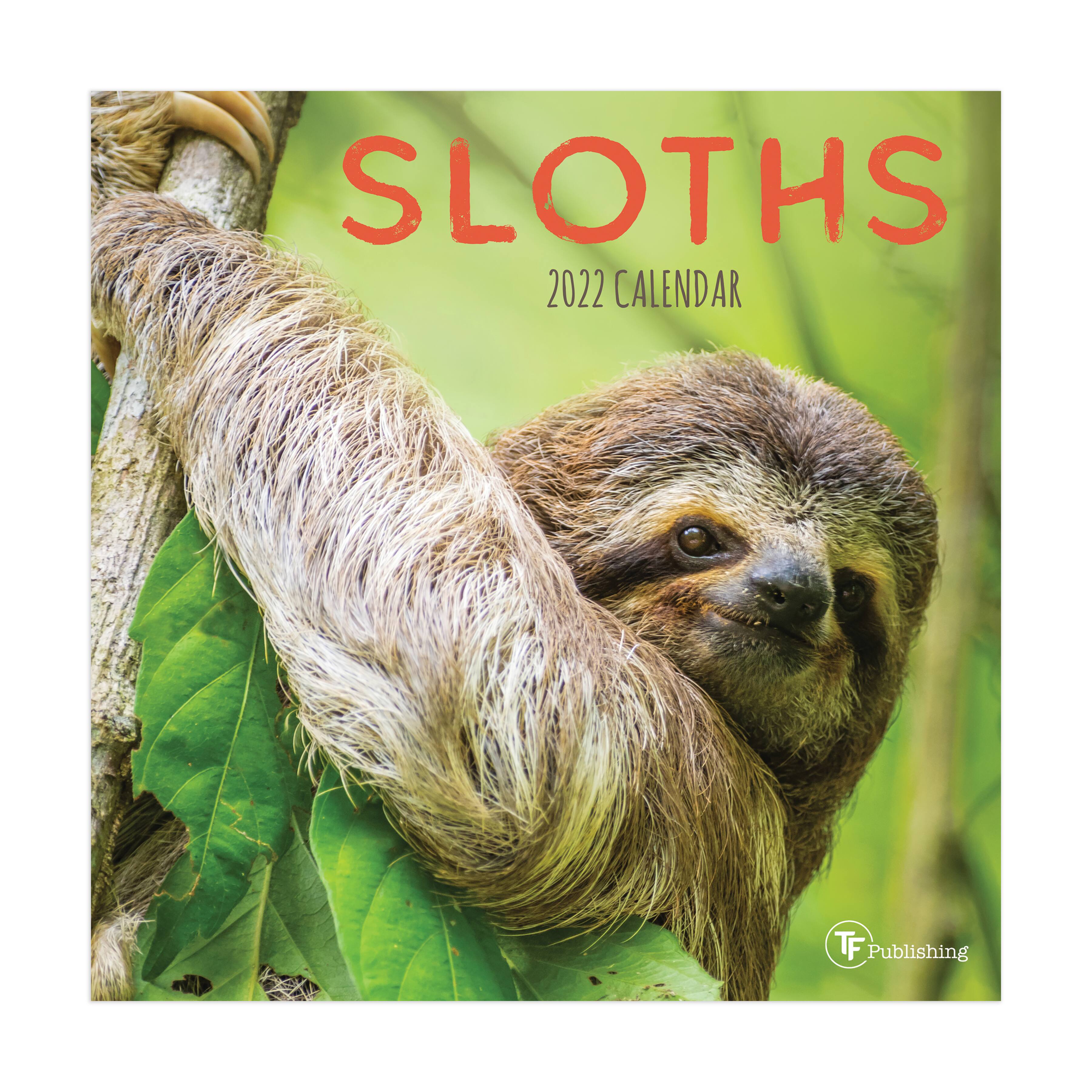 2022 Sloths Mini Calendar By Tf Publishing | Michaels®