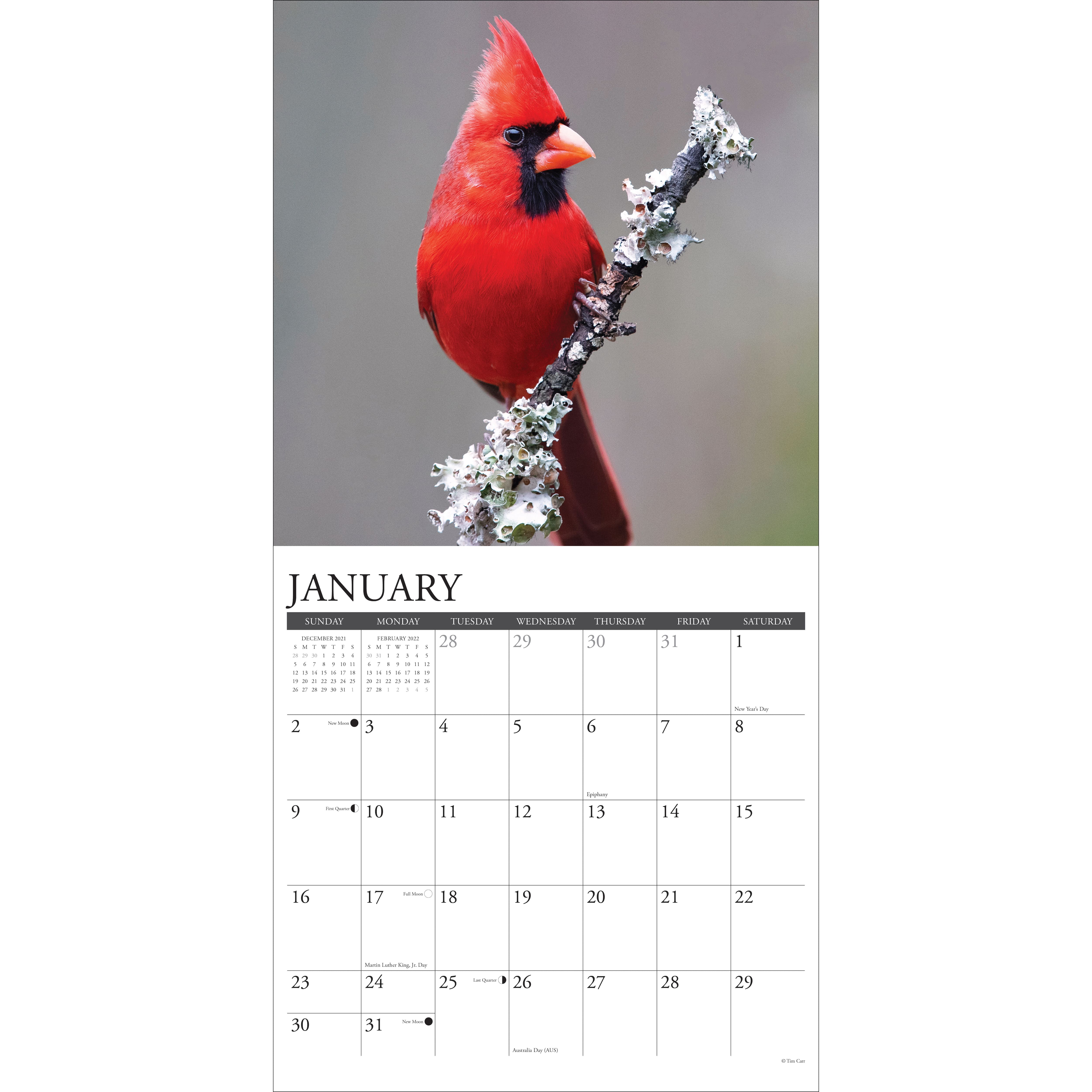 2022 Cardinals Wall Calendar | Michaels