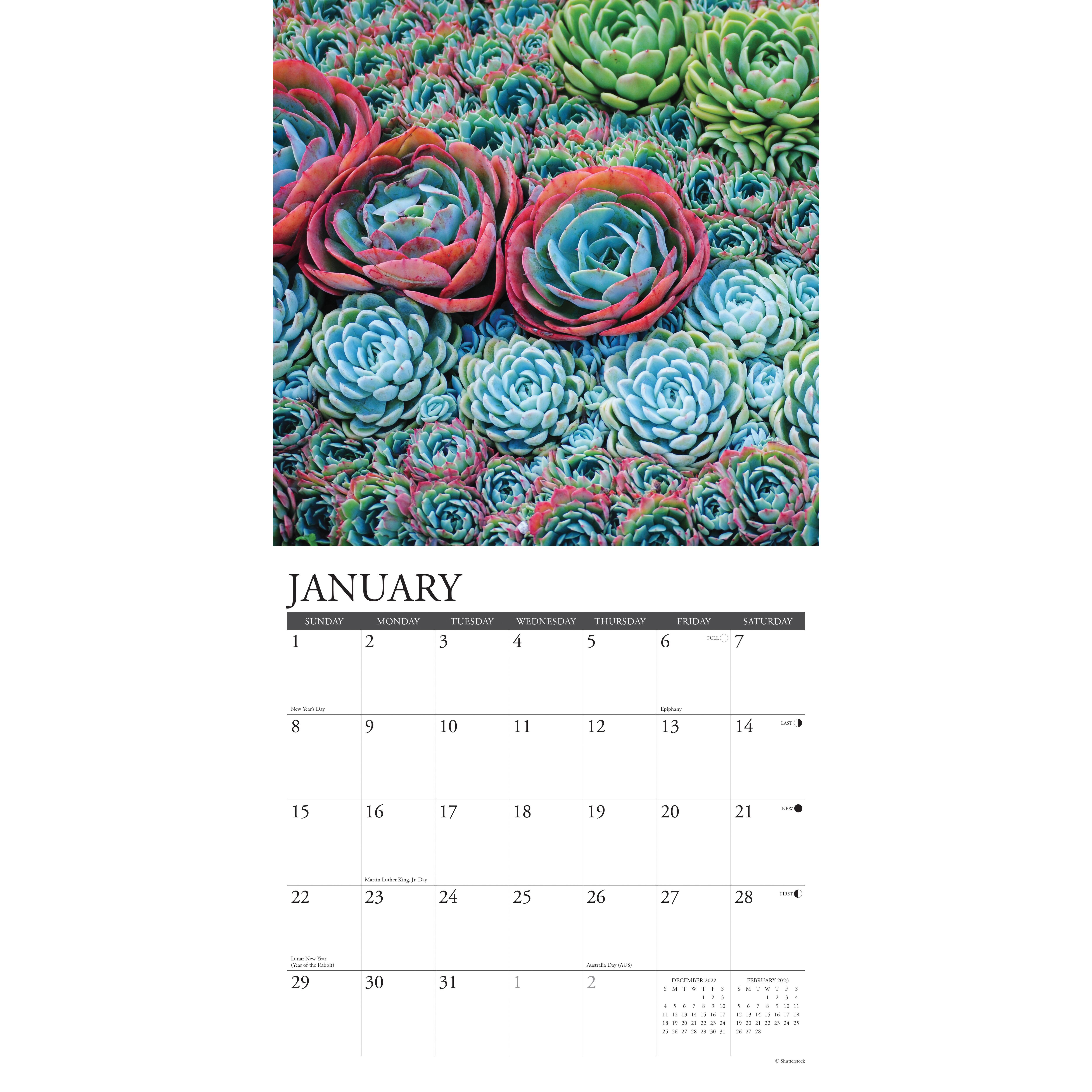2023 Succulents Wall Calendar Wall Calendars Michaels