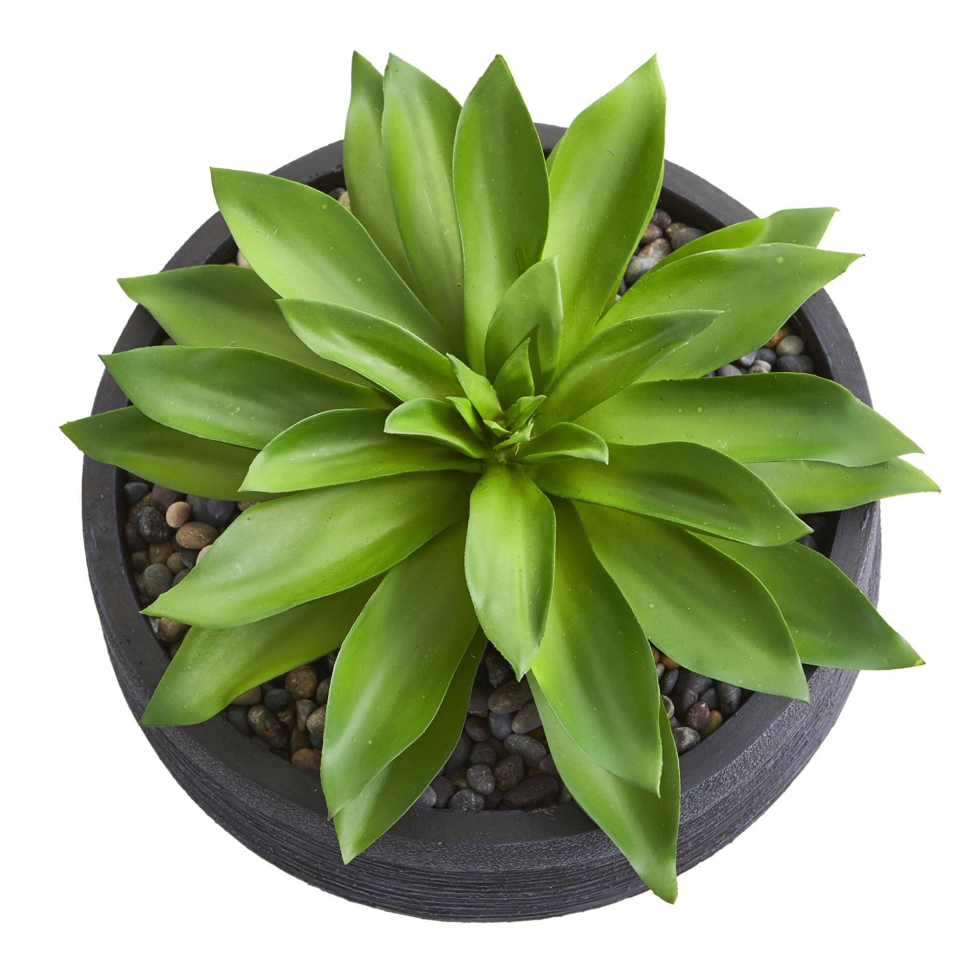 10" Large Succulent Artificial Plant in Decorative Bowl