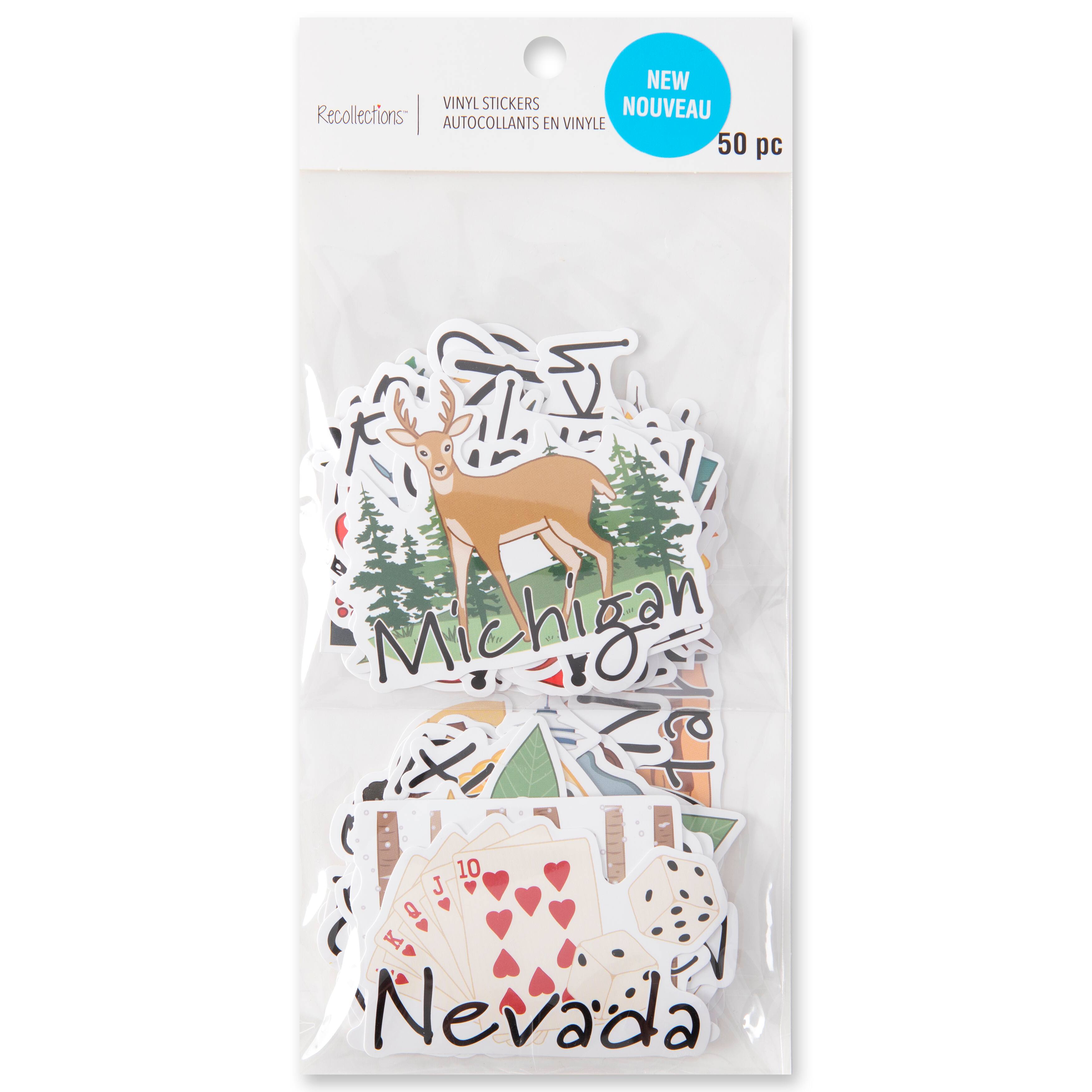 12 Pack: 50 States Vinyl Stickers by Recollections™