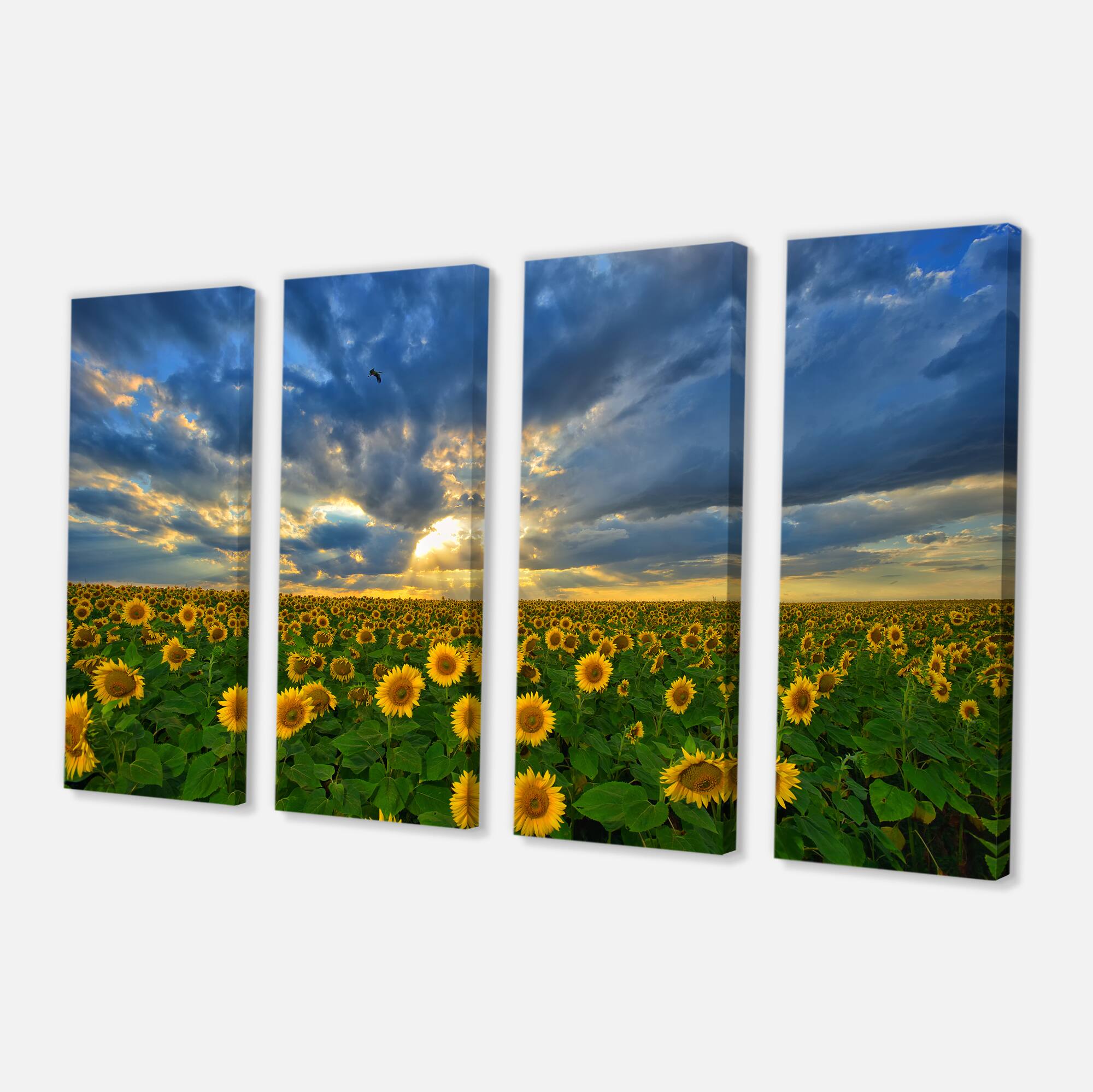 Designart - Beauty Sunset over Sunflowers - Landscape Canvas Art Print