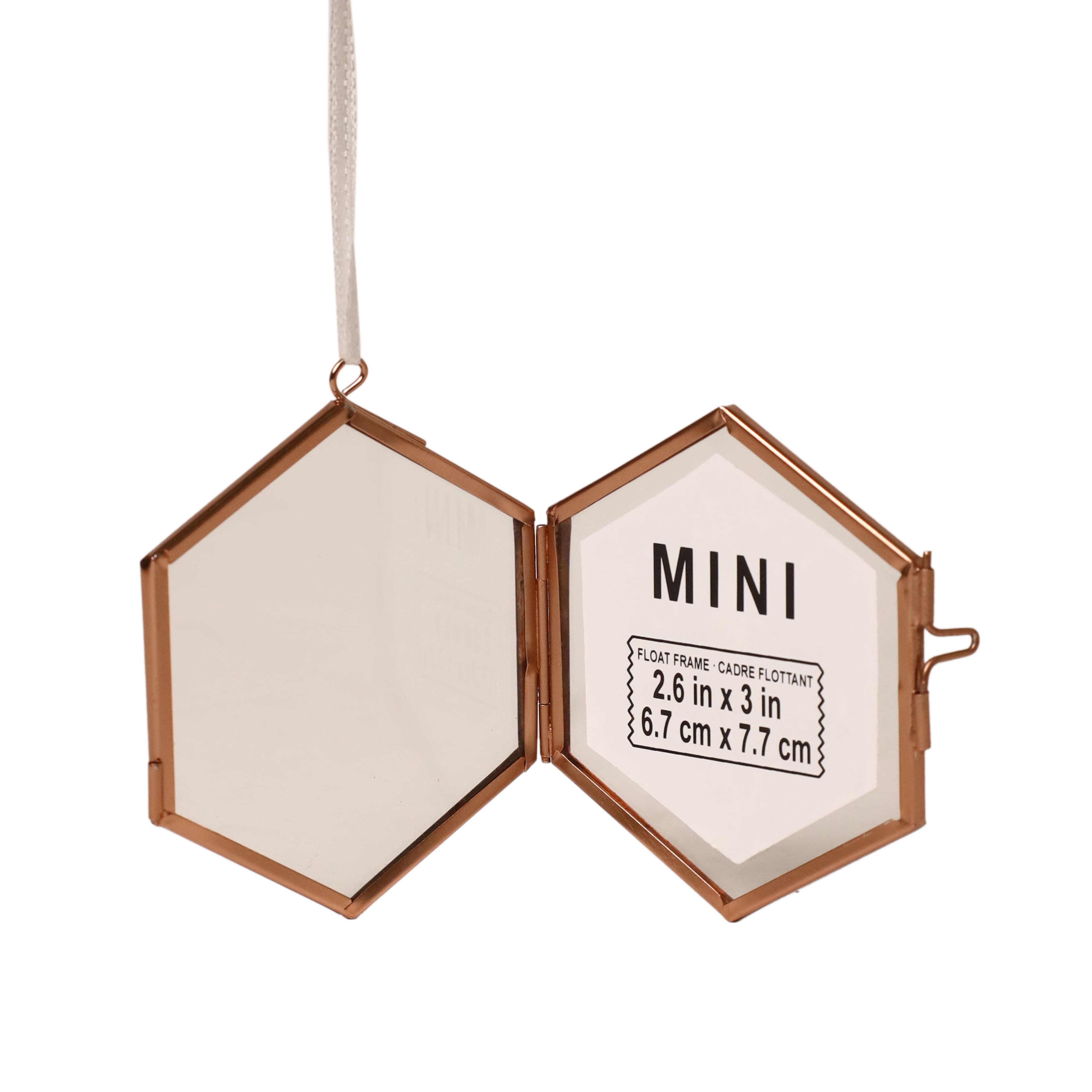 Mini Hexagon Float Frame by Studio D&#xE9;cor&#xAE;