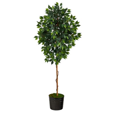 Buy in Bulk - 6ft. Ficus Tree in Black Tin Planter | Michaels