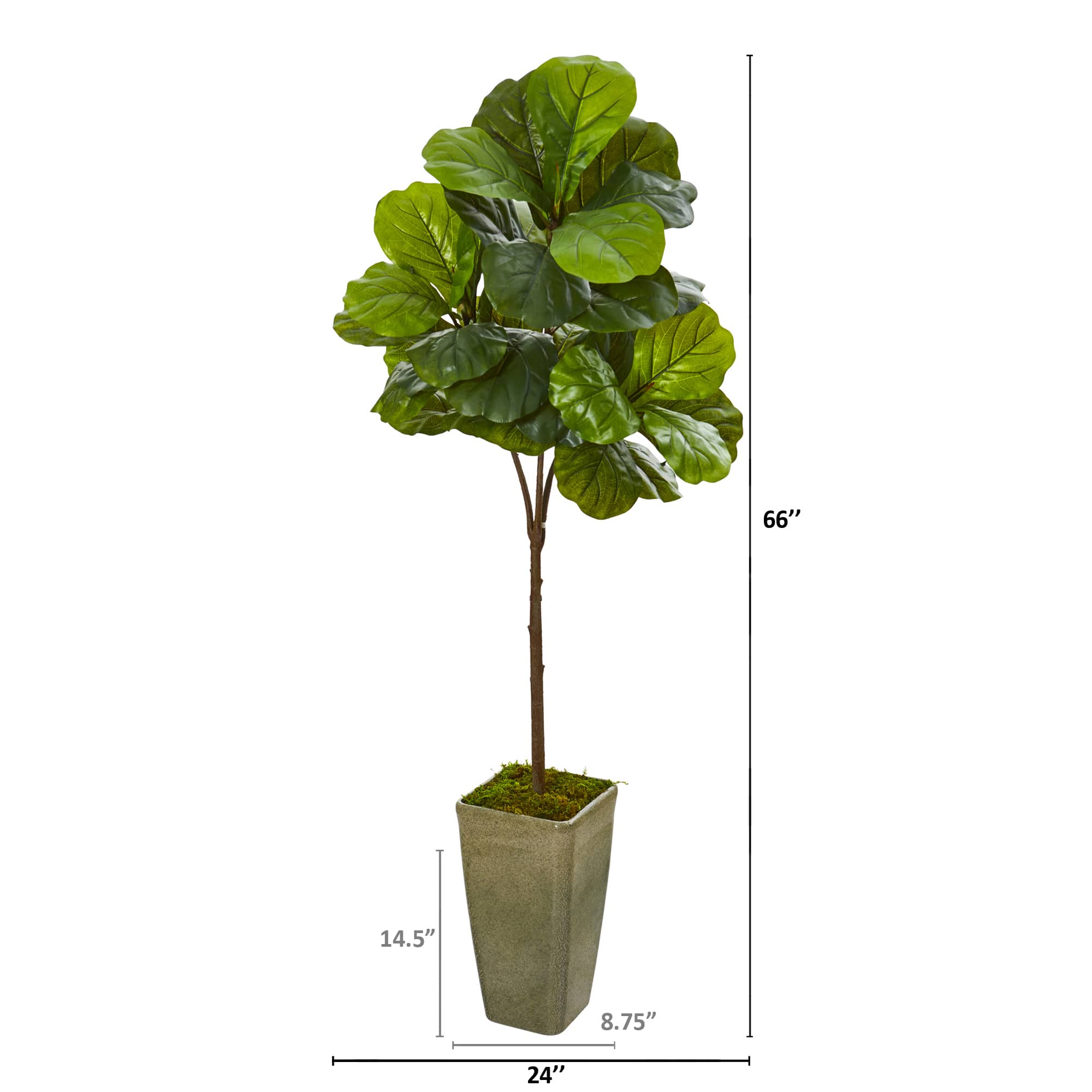 5.5ft. Fiddle Leaf Artificial Tree in Planter