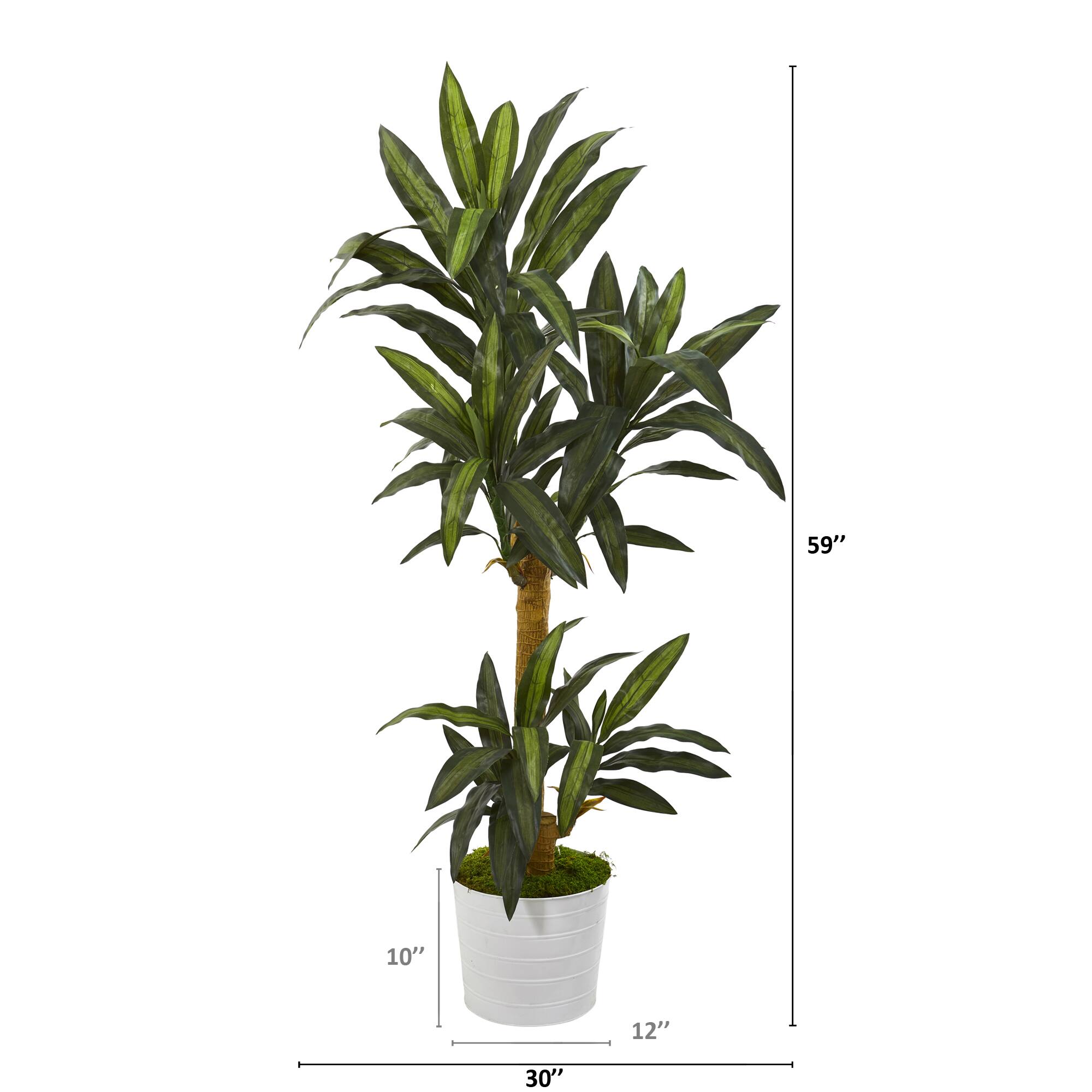 5ft. Yucca Plant in White Tin Planter