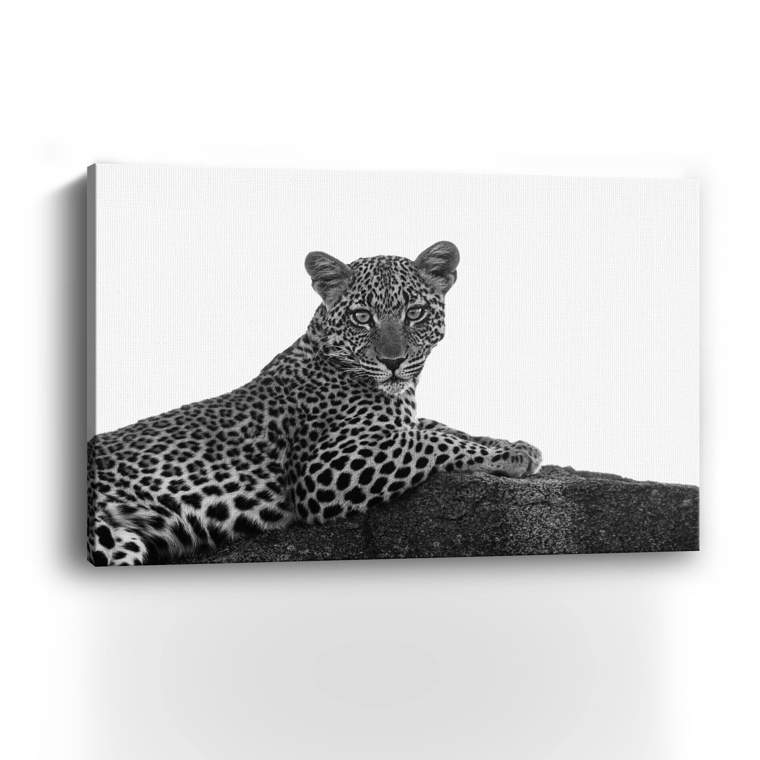 Leopard In Black And White Canvas Giclee