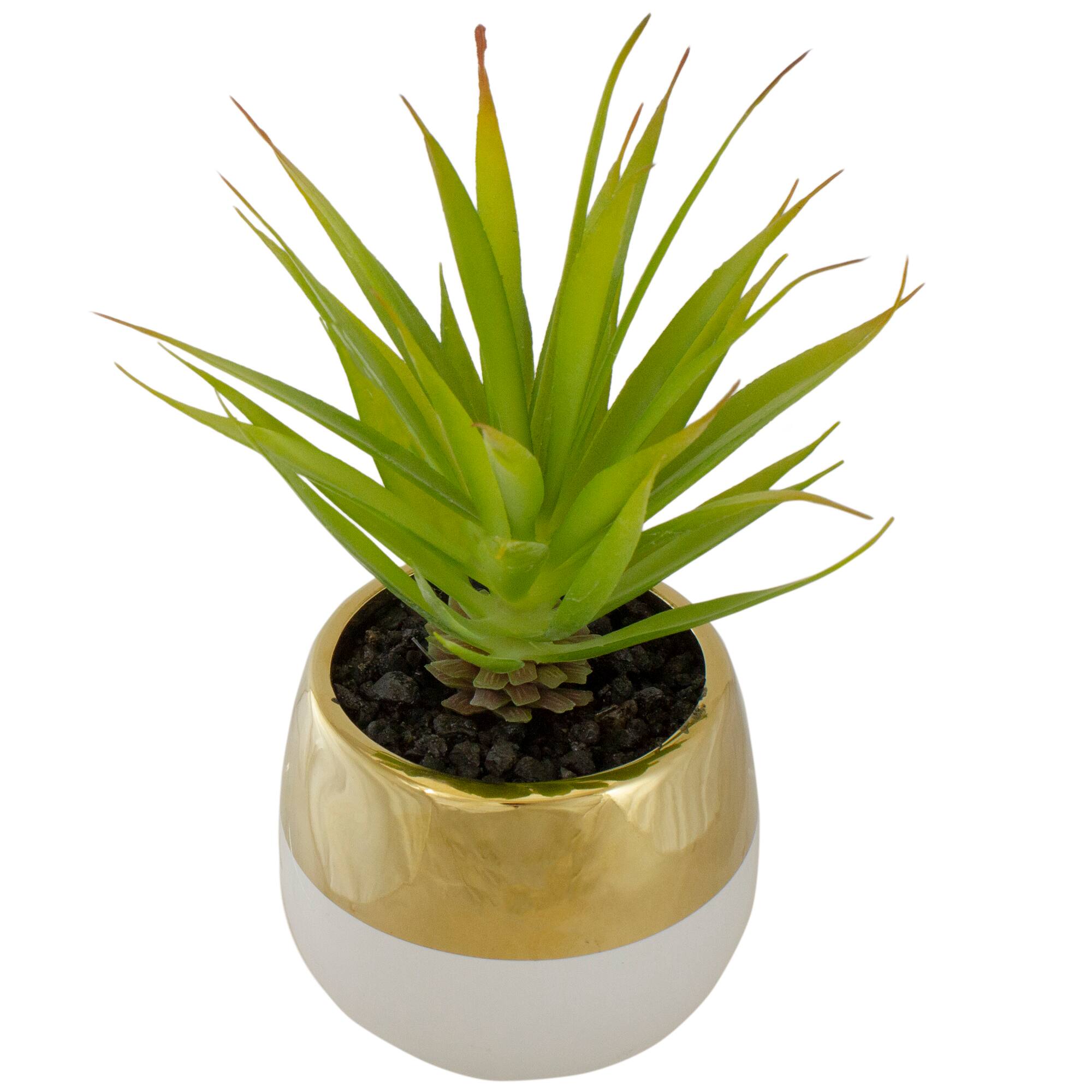 7" Potted Green Sword Grass Plant