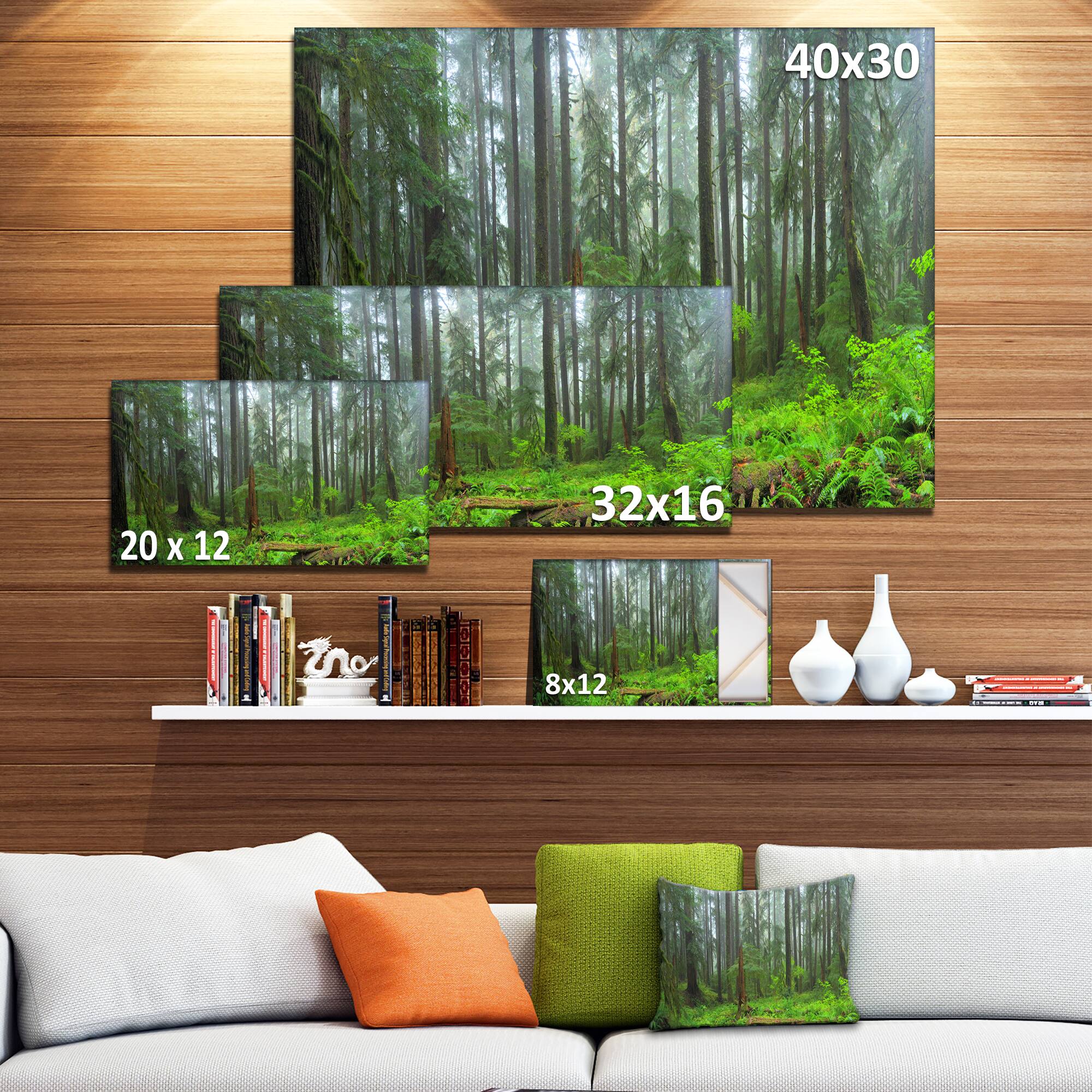 Designart - Hoh Rain Forest - Landscape Photography Canvas Art Print