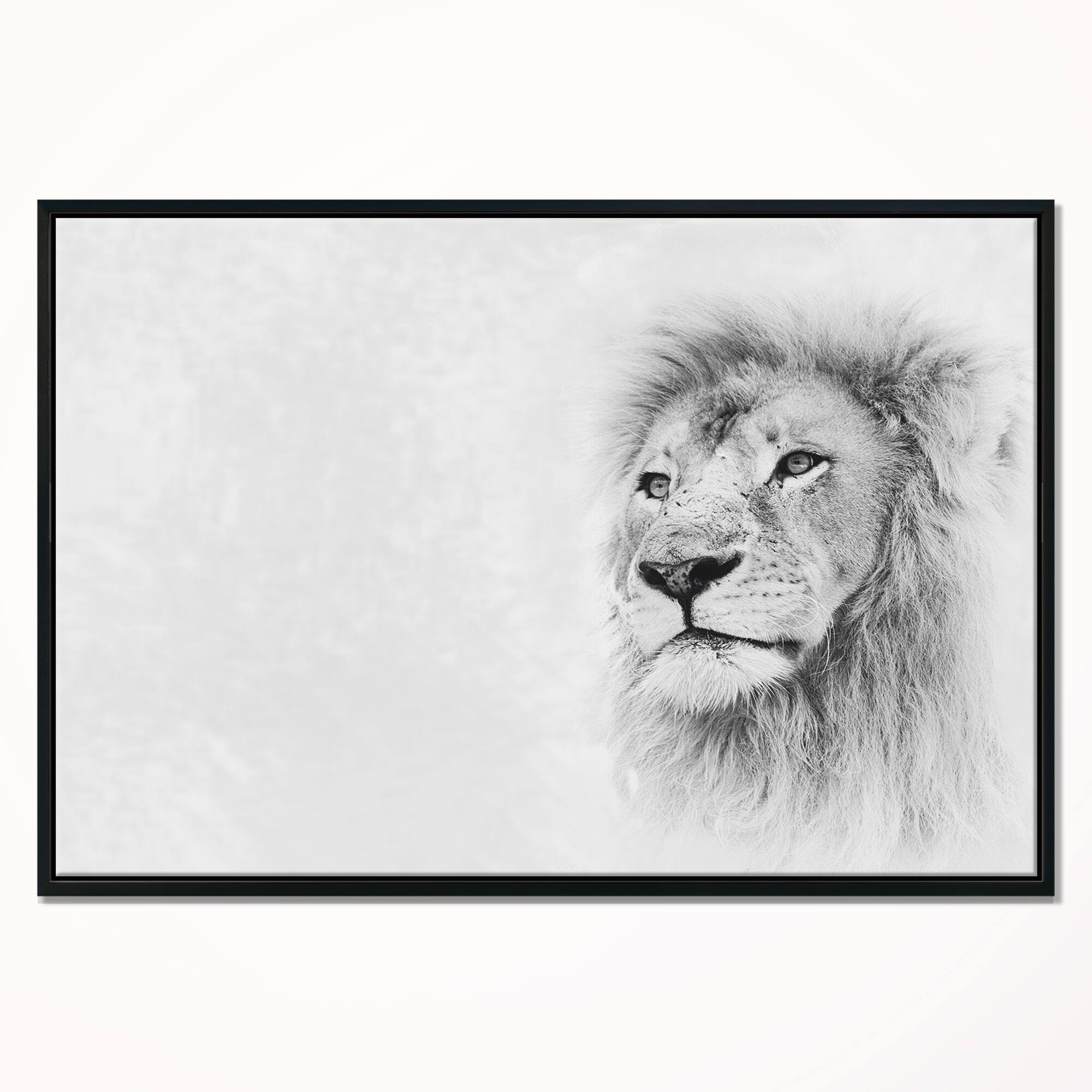 Designart - Lion Face on Card Banner