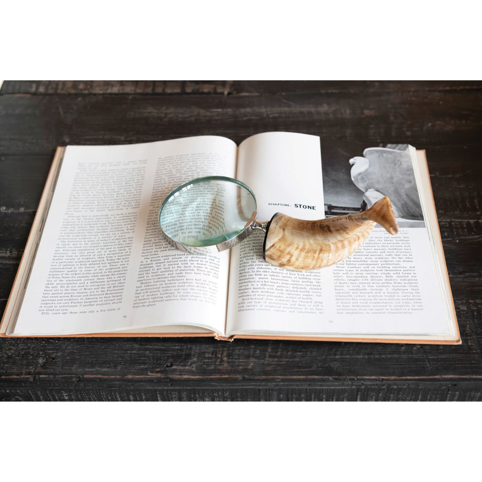 Hello Honey® Stainless Steel Magnifying Glass with Horn Handle