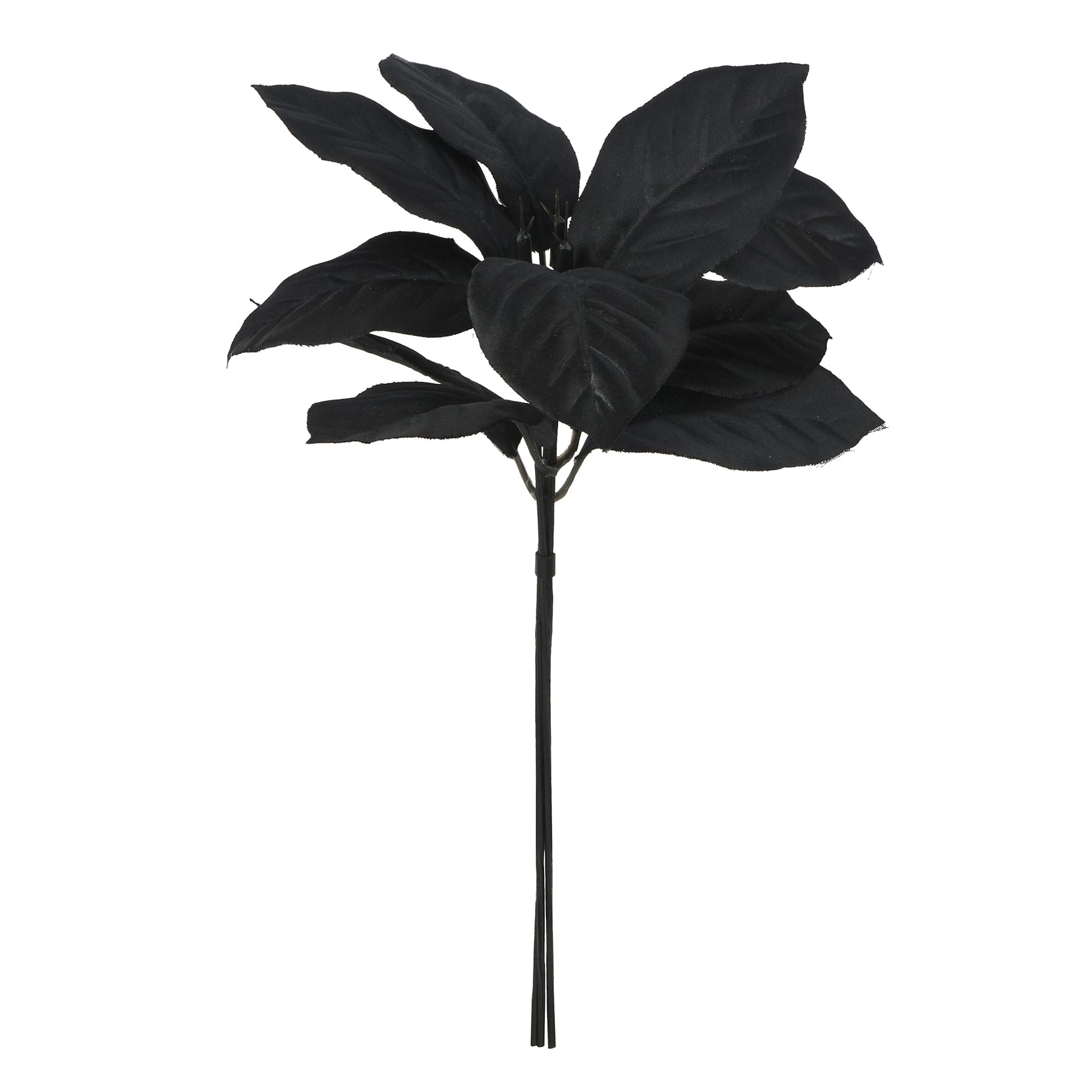 10.5&#x22; Mini Willow Bundle by Ashland&#xAE;